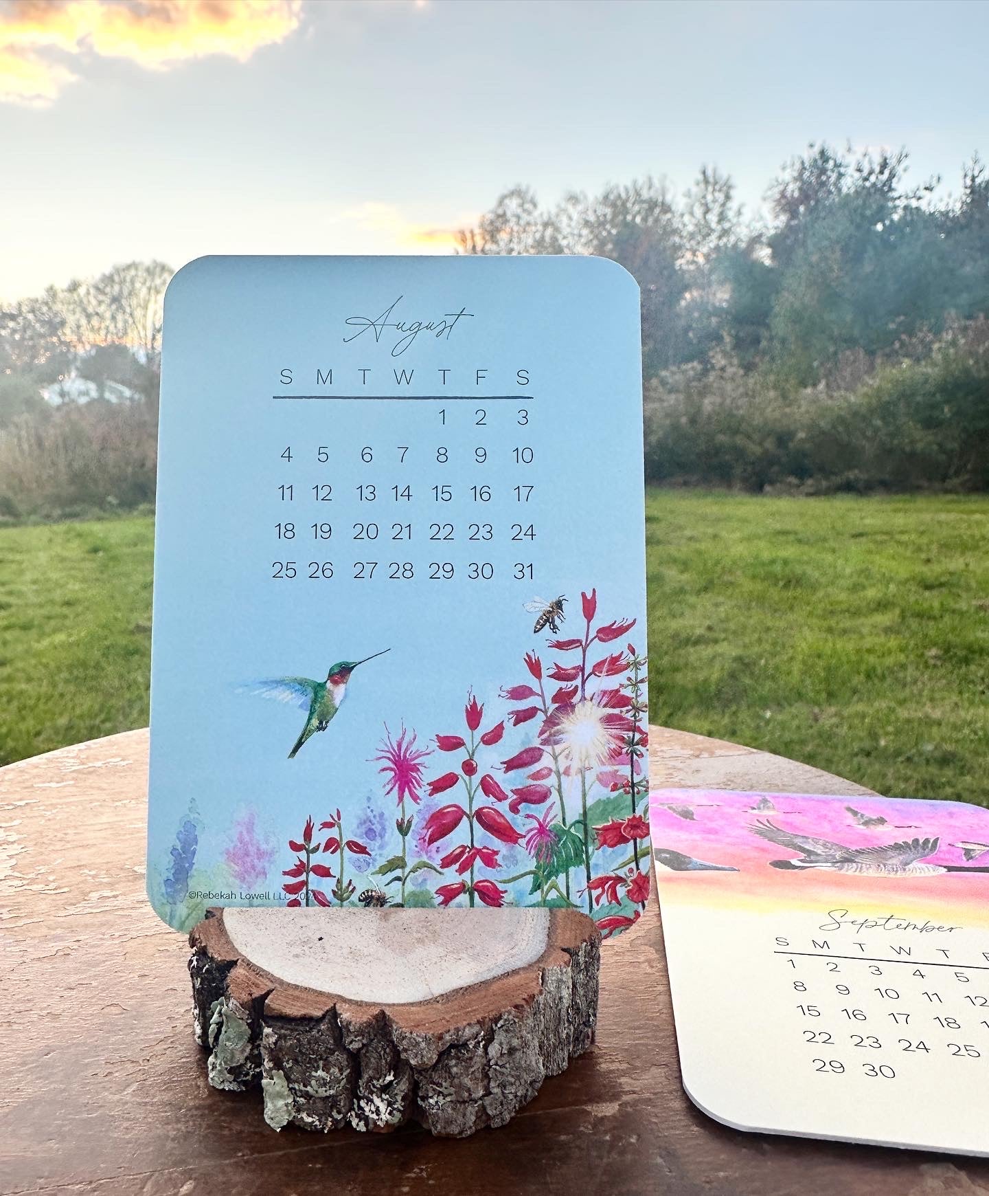 2024 Catching Flight Desk Calendar with Natural Wood Stand