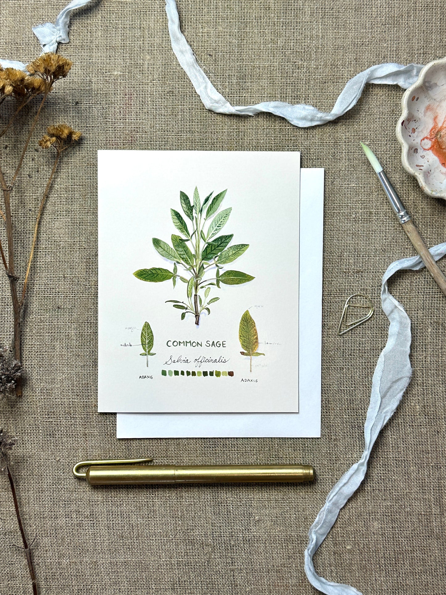 Common Sage Botanical Blank Notecard