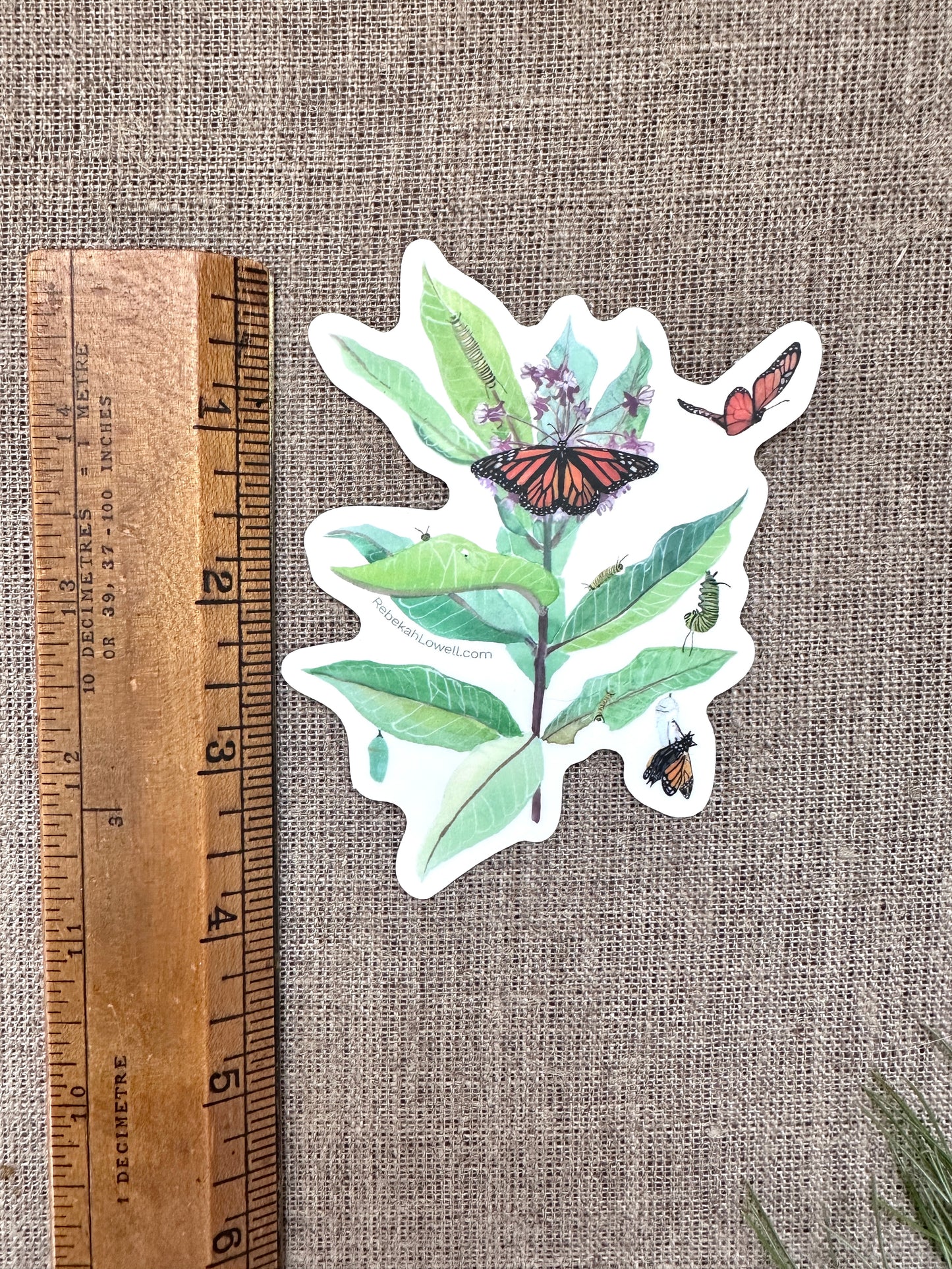 Monarchs & Milkweed Clear Vinyl Decal Bumper Sticker