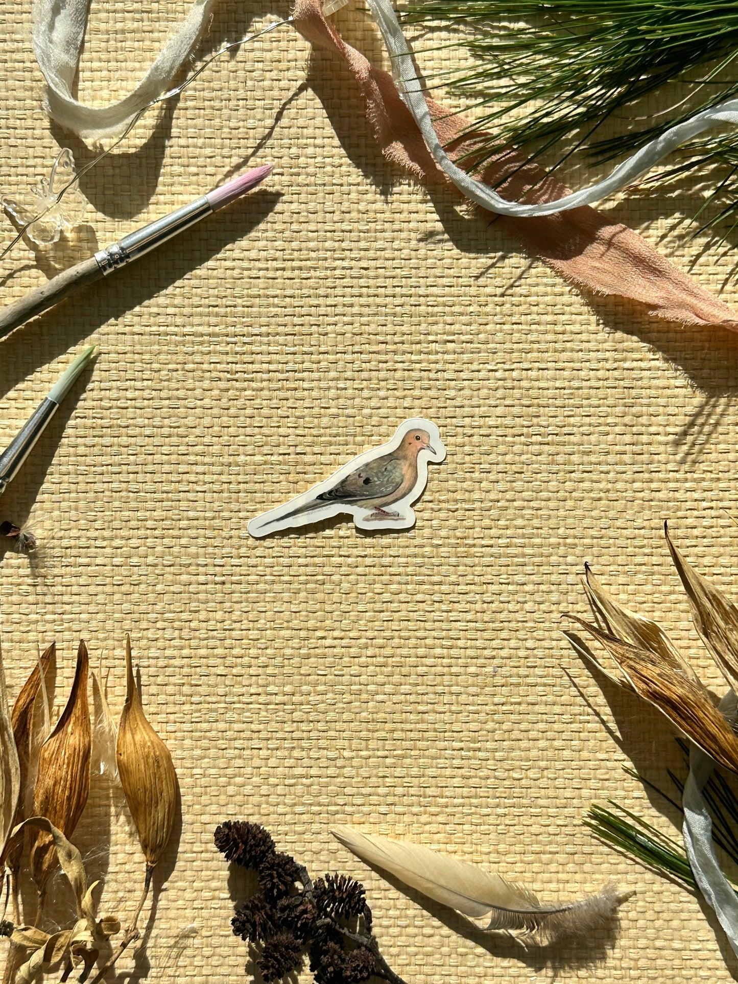 Mourning Dove Vinyl Sticker Decal