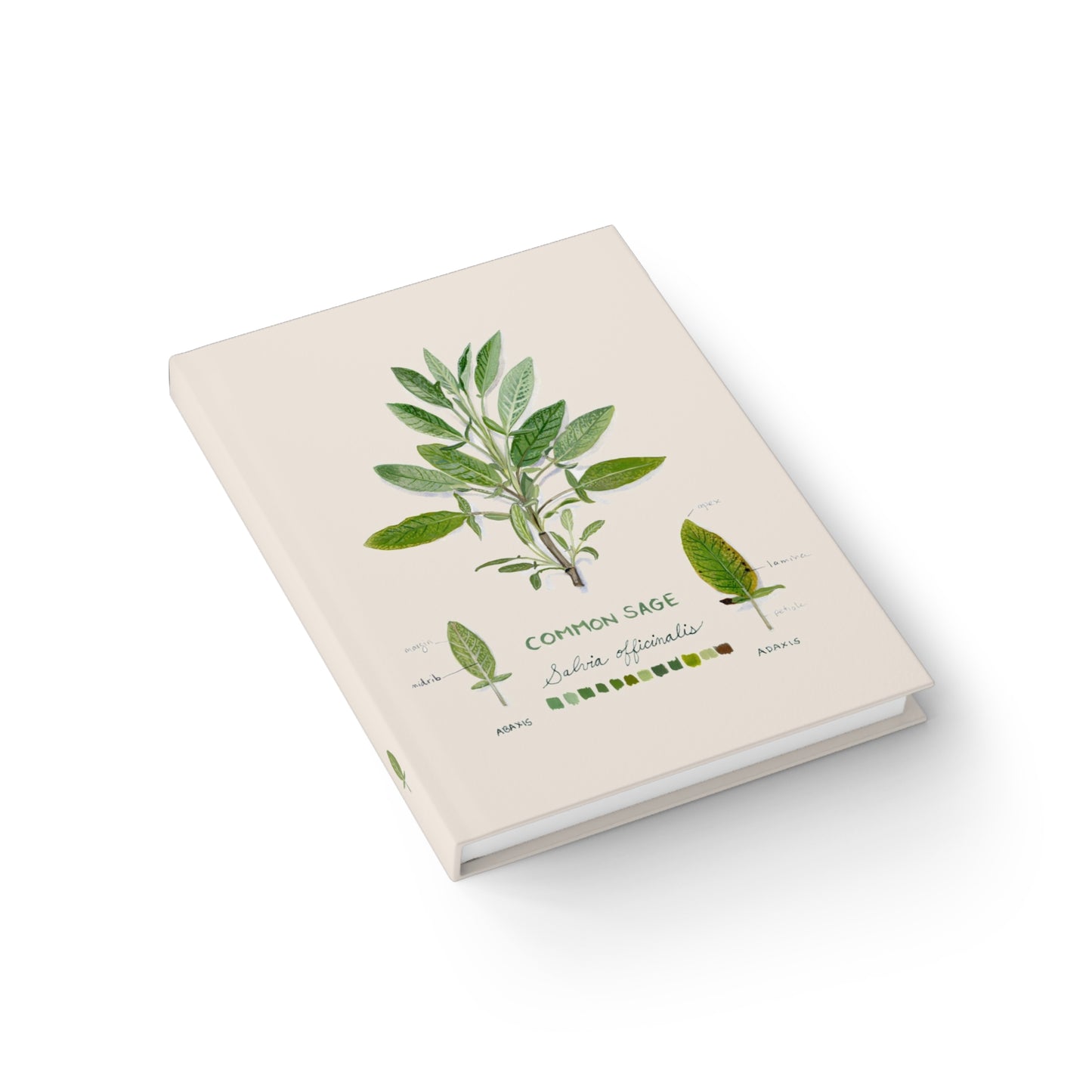Common Sage Blank Journal