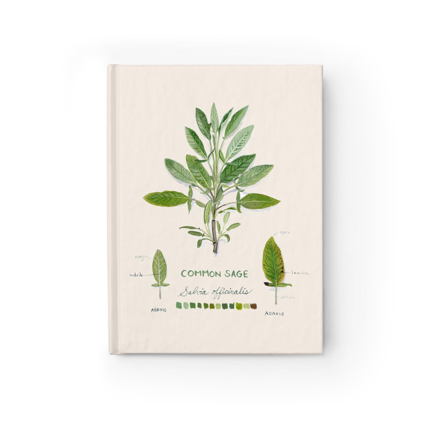 Common Sage Blank Journal