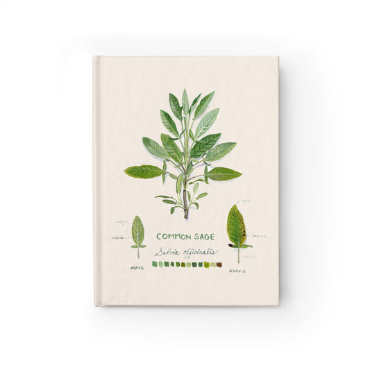 Common Sage Blank Journal