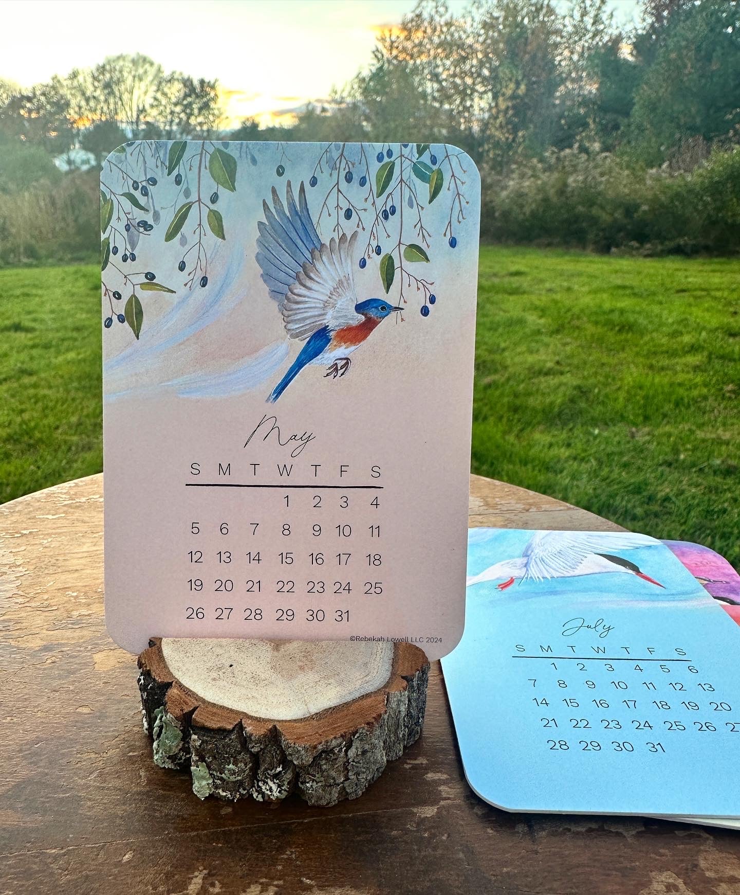 2024 Catching Flight Desk Calendar with Natural Wood Stand