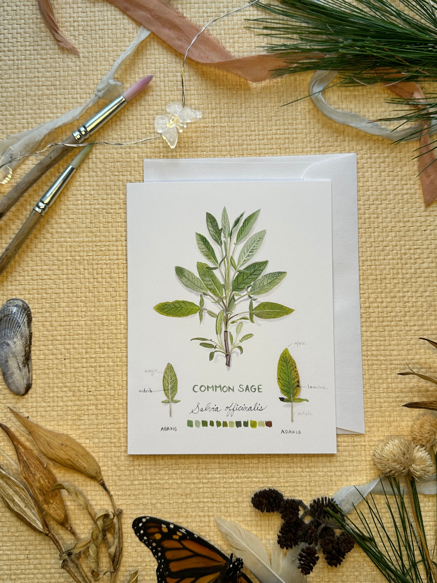Common Sage Botanical Blank Notecard