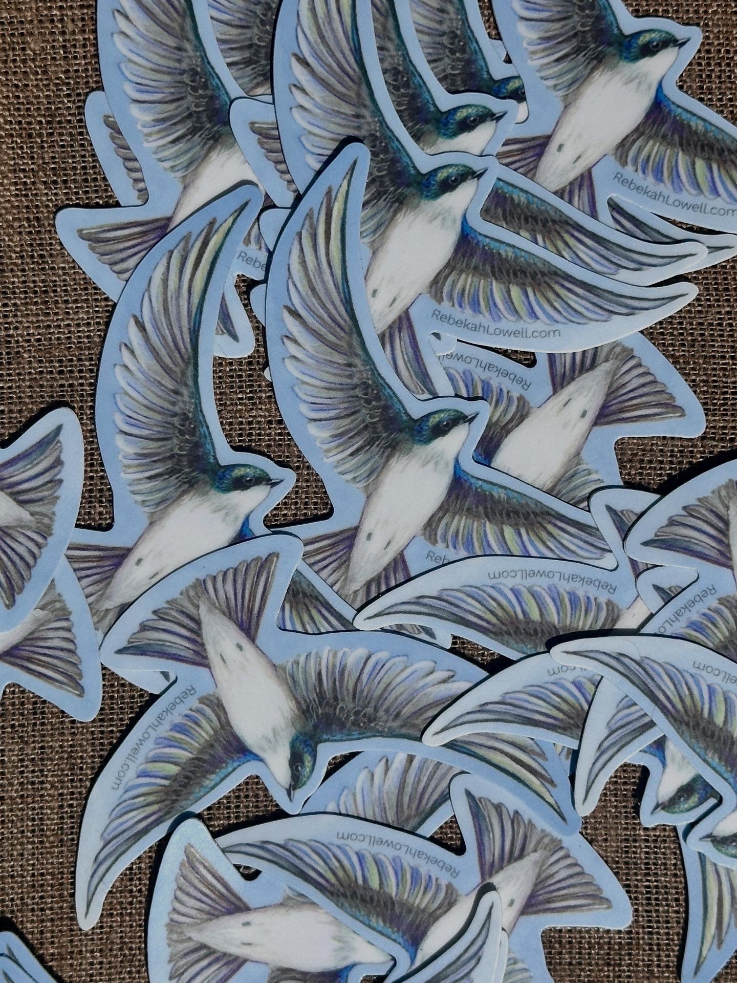 Tree Swallow Vinyl Decal Bumper Sticker
