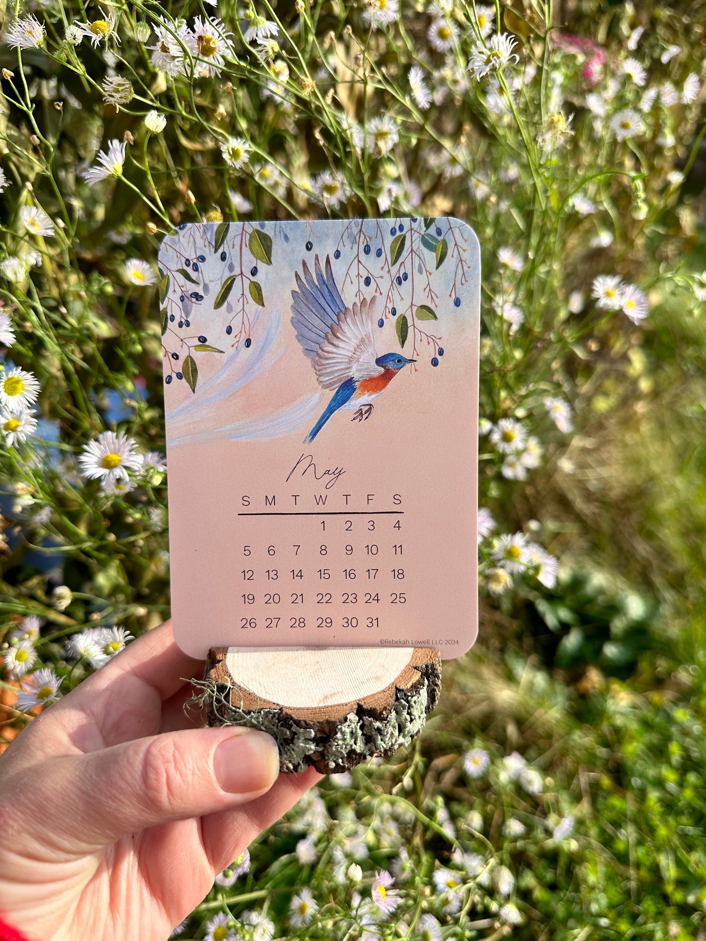 2024 Catching Flight Desk Calendar with Natural Wood Stand