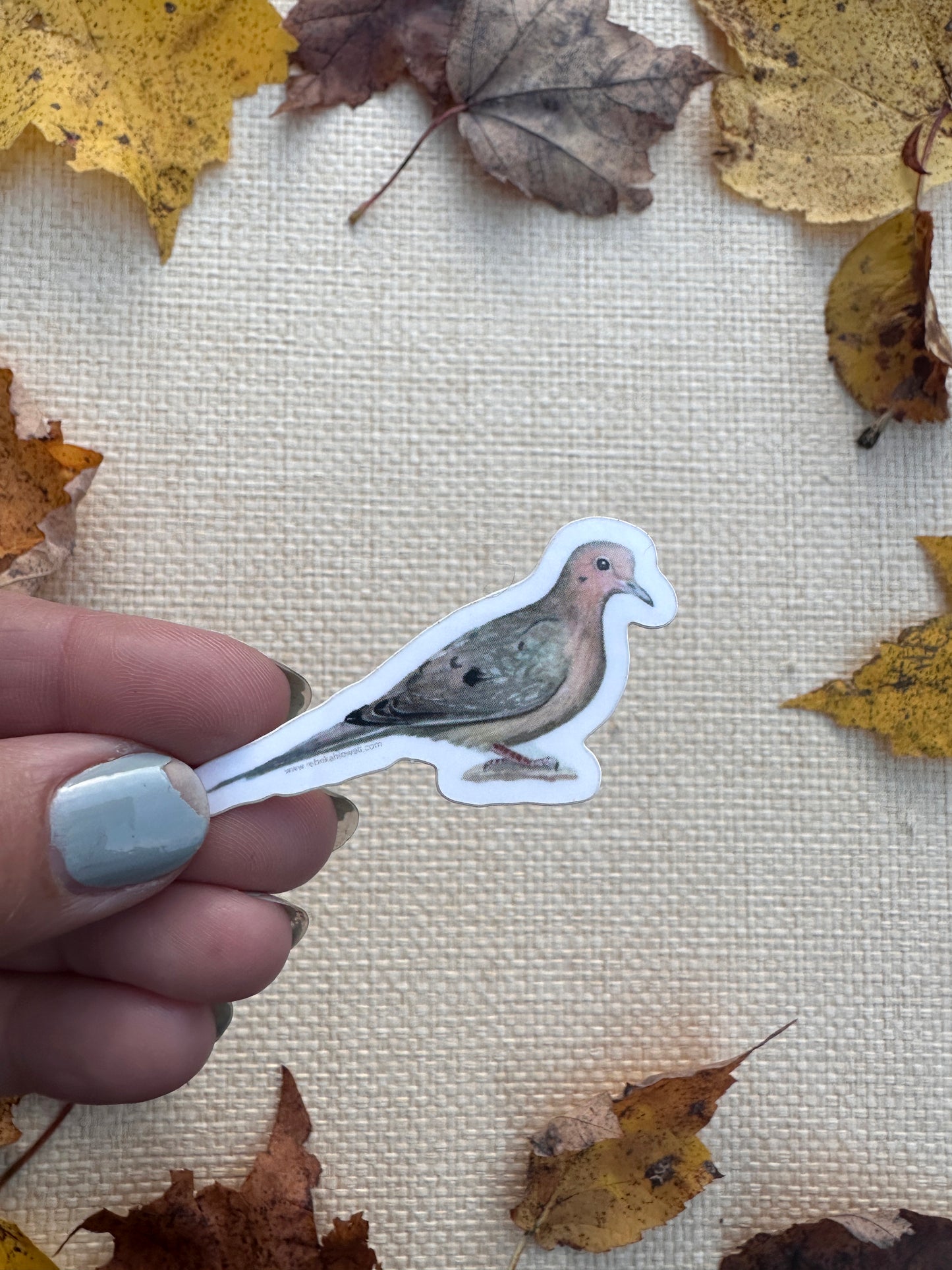 Bird Sticker Pack for Birdability Week