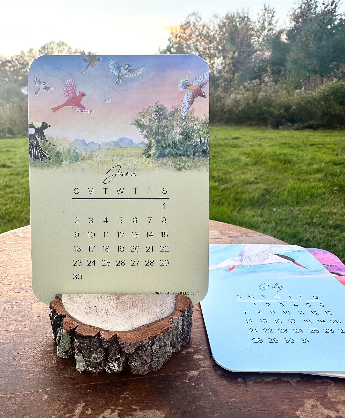 2024 Catching Flight Desk Calendar with Natural Wood Stand