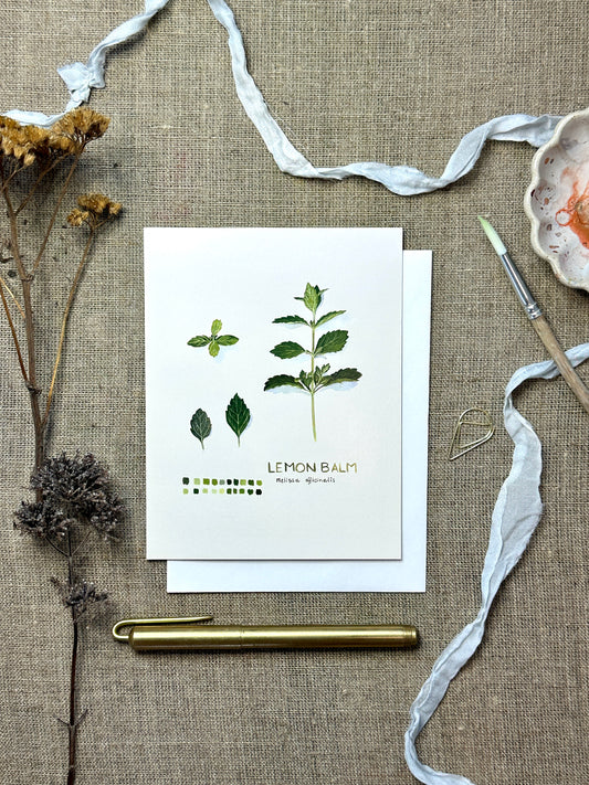 Lemon Balm Botanical Blank Notecard