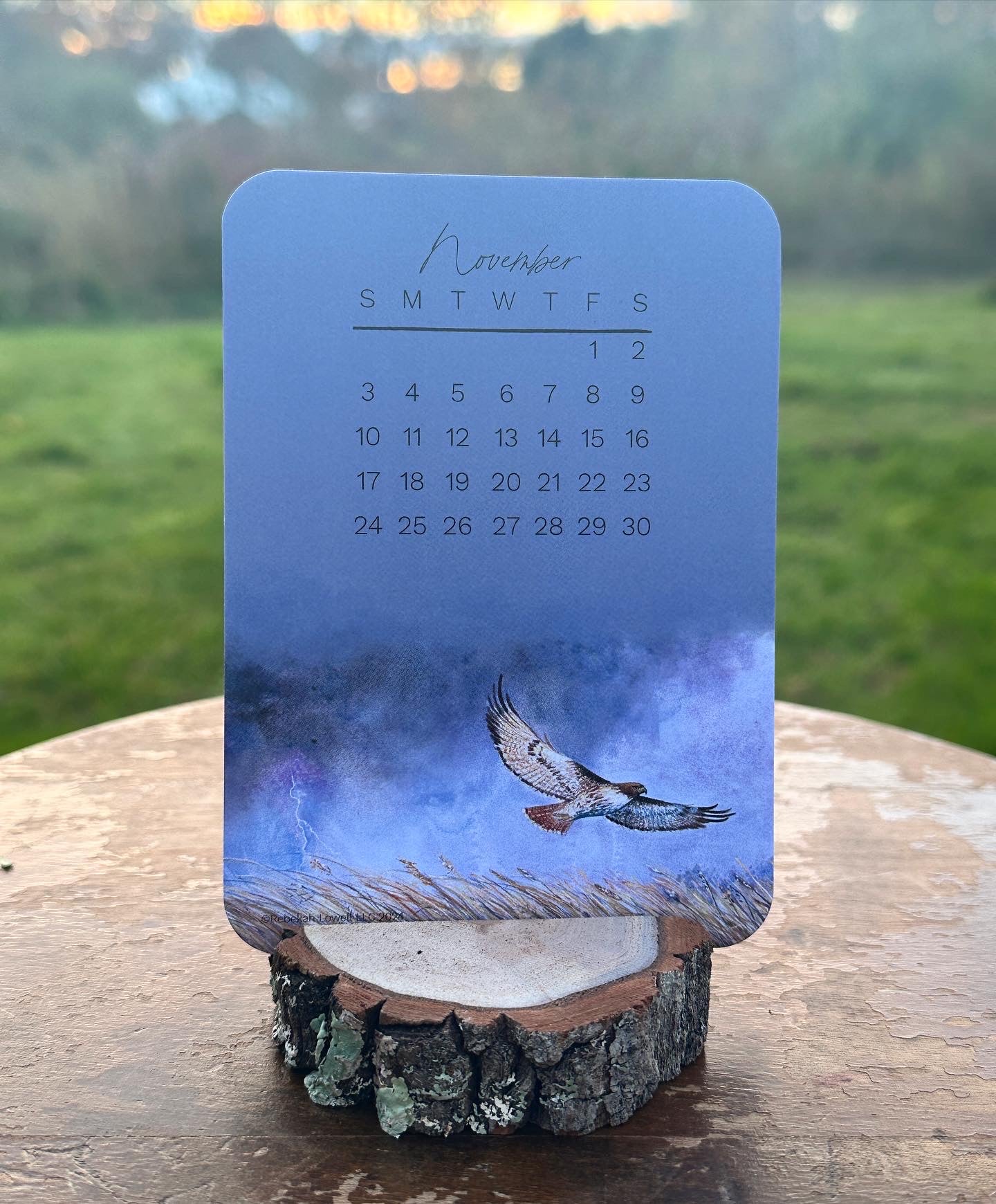 2024 Catching Flight Desk Calendar with Natural Wood Stand