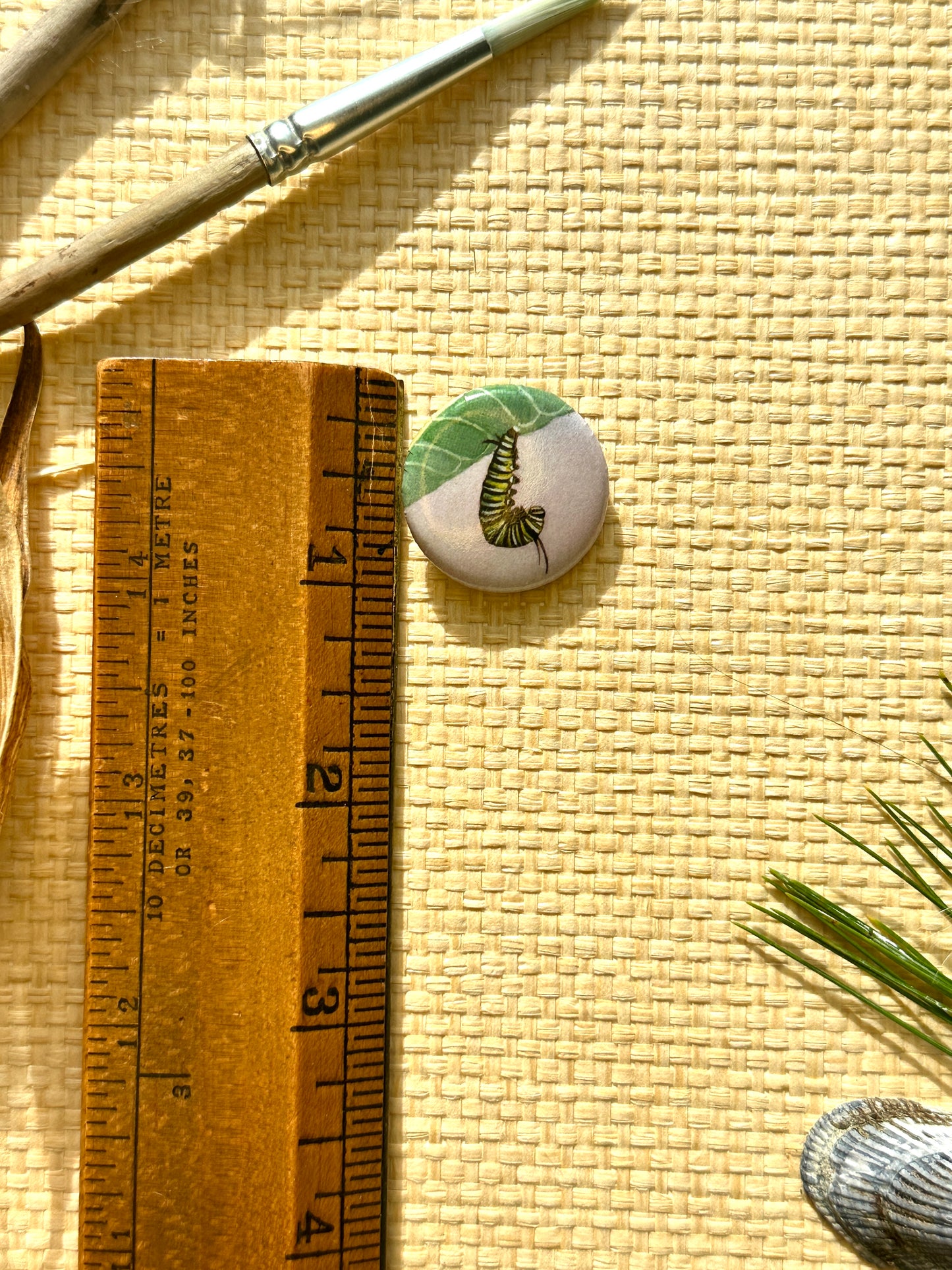 Monarch Caterpillar "J" on 1" Pin Button