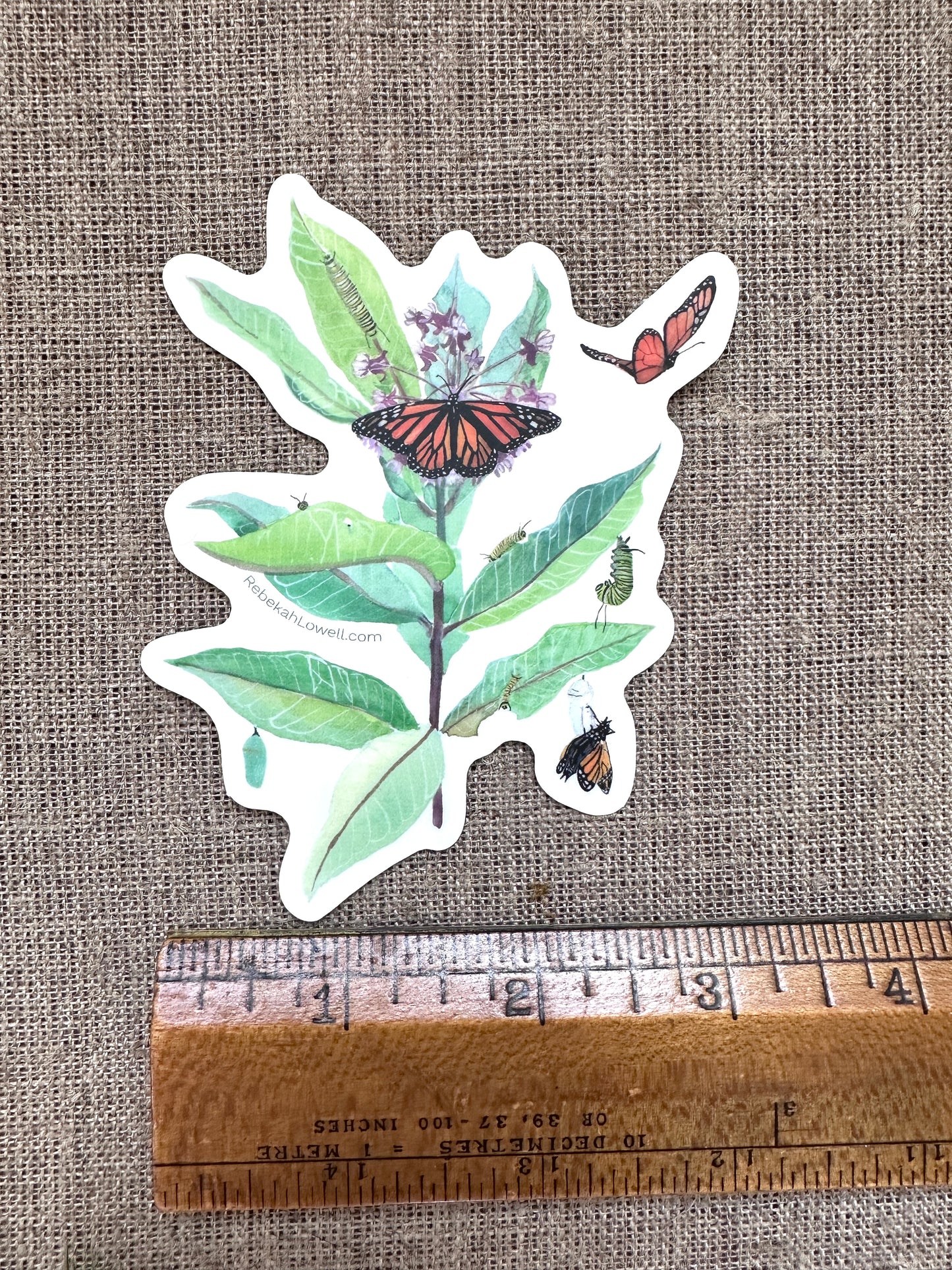 Monarchs & Milkweed Clear Vinyl Decal Bumper Sticker