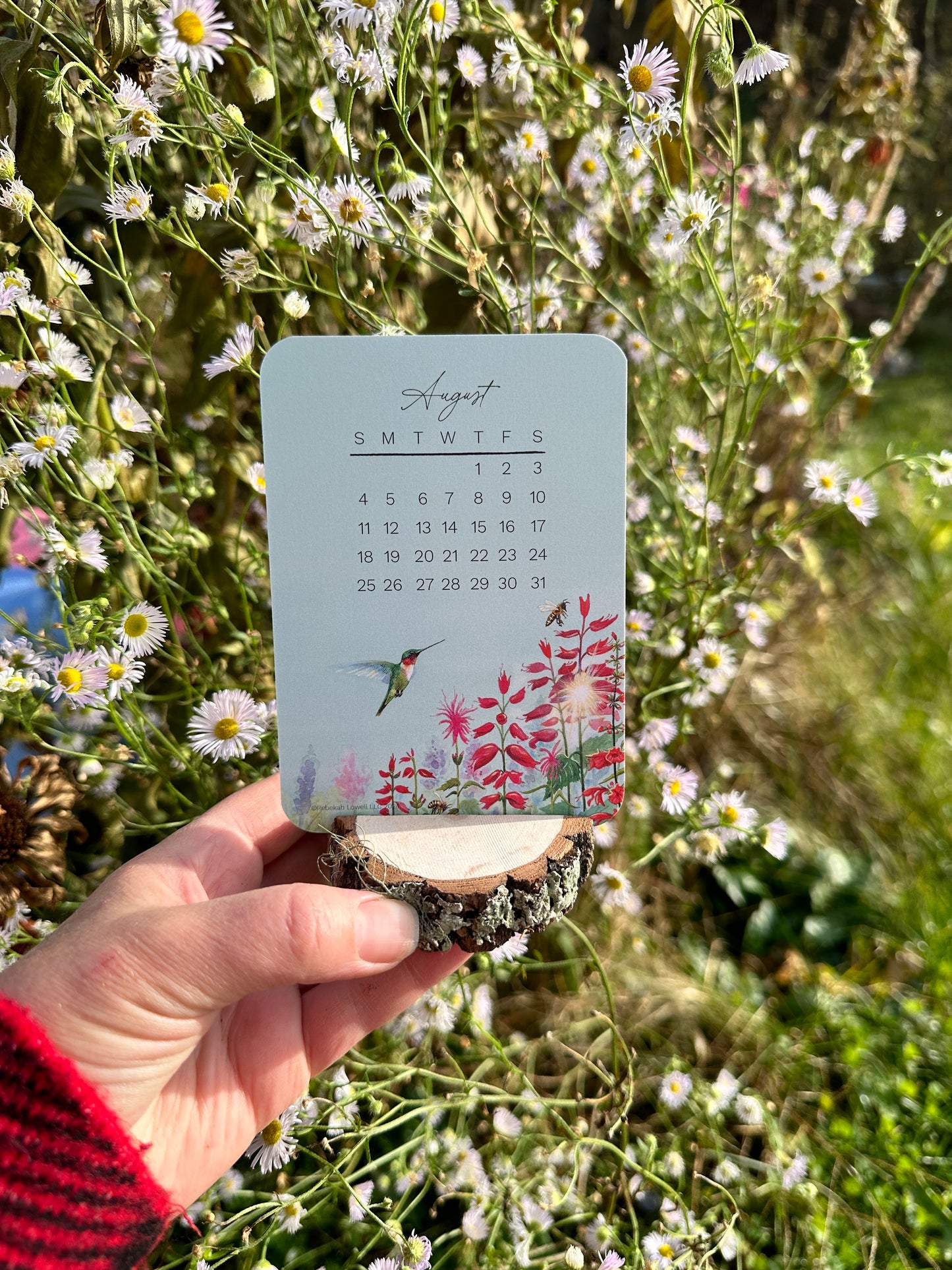 2024 Catching Flight Desk Calendar with Natural Wood Stand