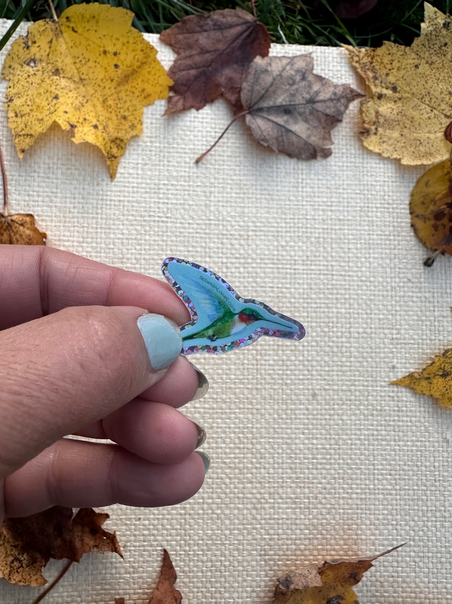 Bird Sticker Pack for Birdability Week