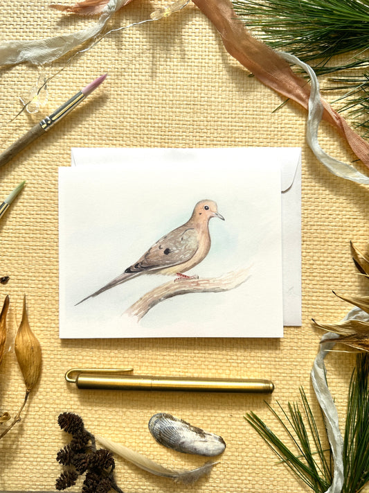 Mourning Dove Blank Notecard