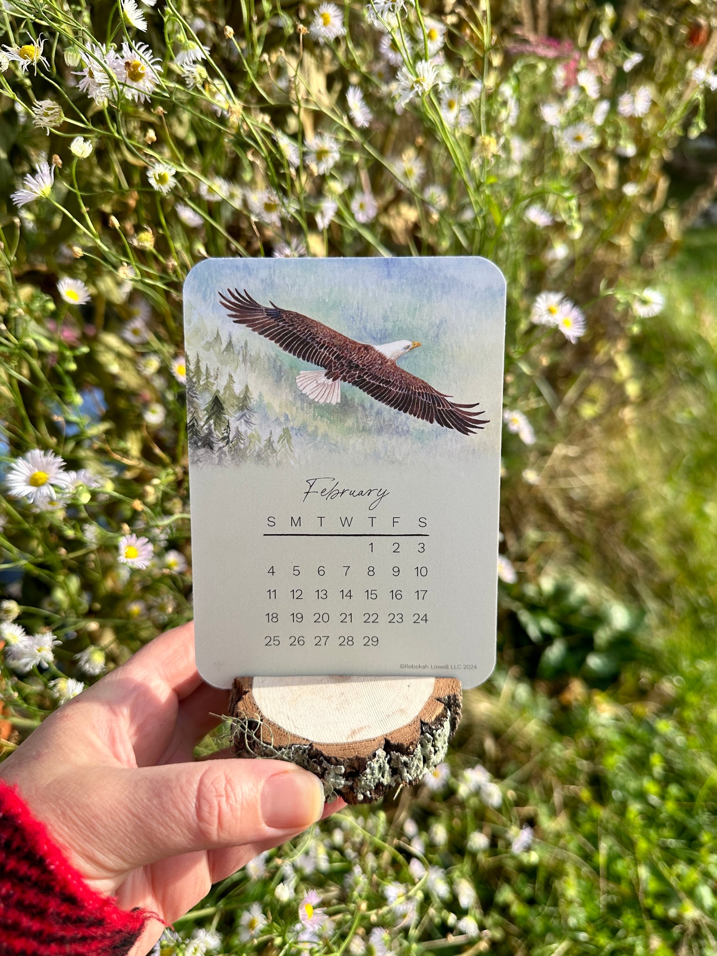 2024 Catching Flight Desk Calendar with Natural Wood Stand