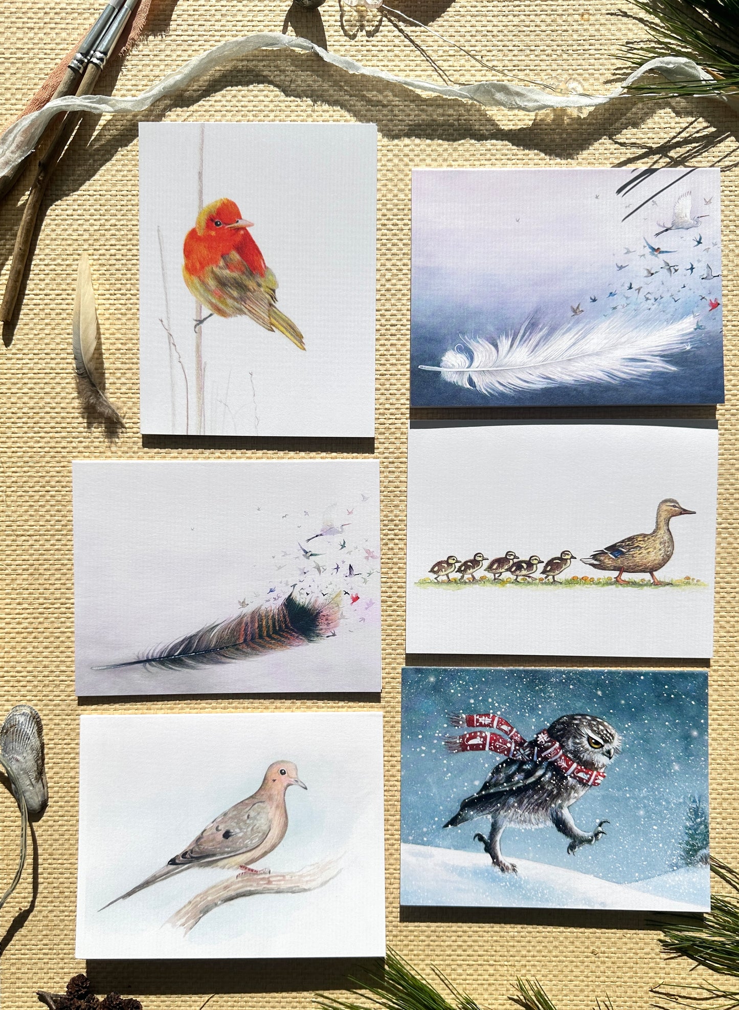 Boxed Set of Six Blank Notecards, Birds Collection