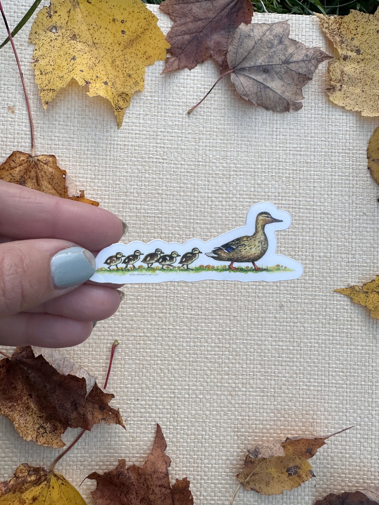 Bird Sticker Pack for Birdability Week