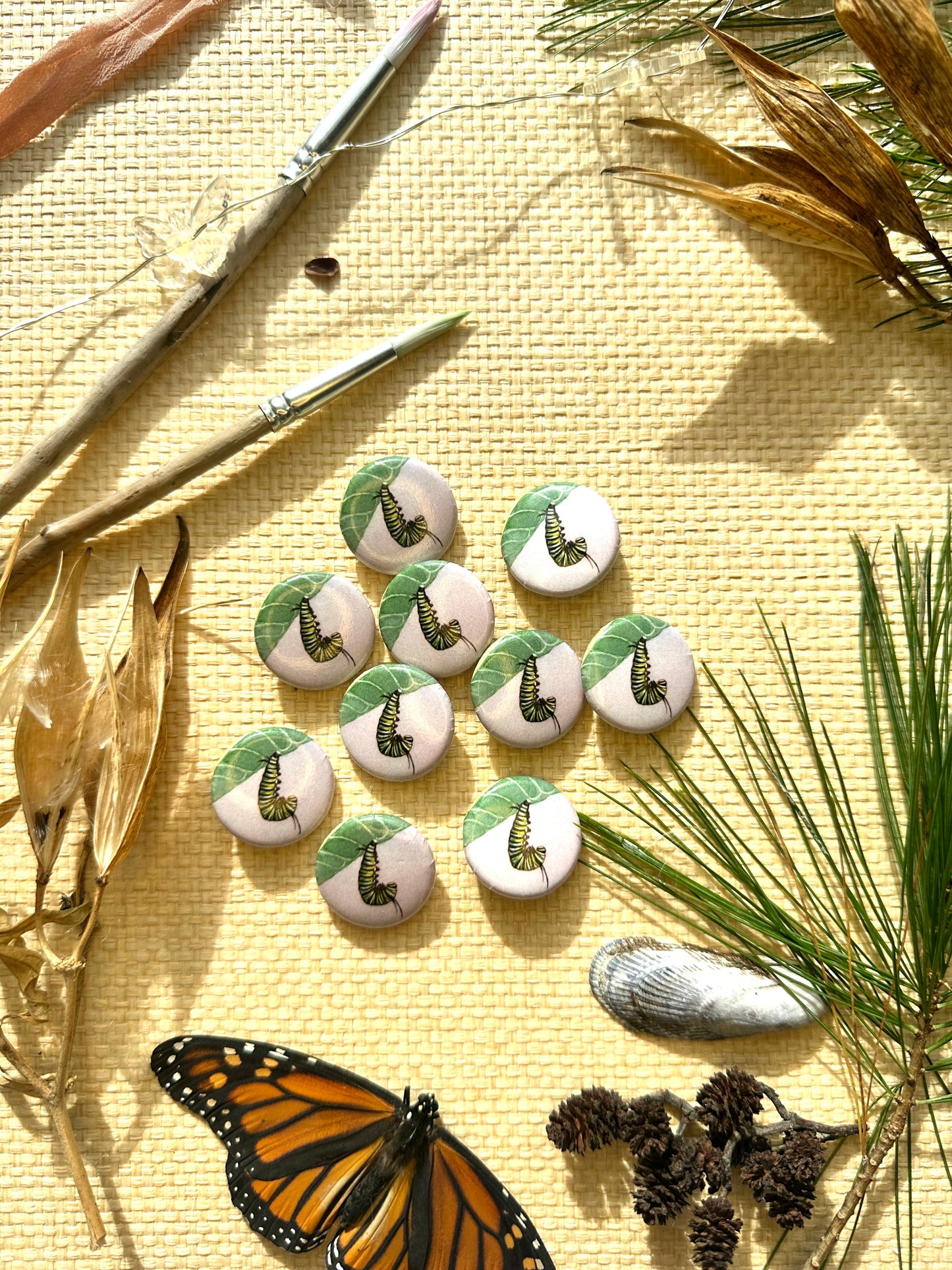 Monarch Caterpillar "J" on 1" Pin Button