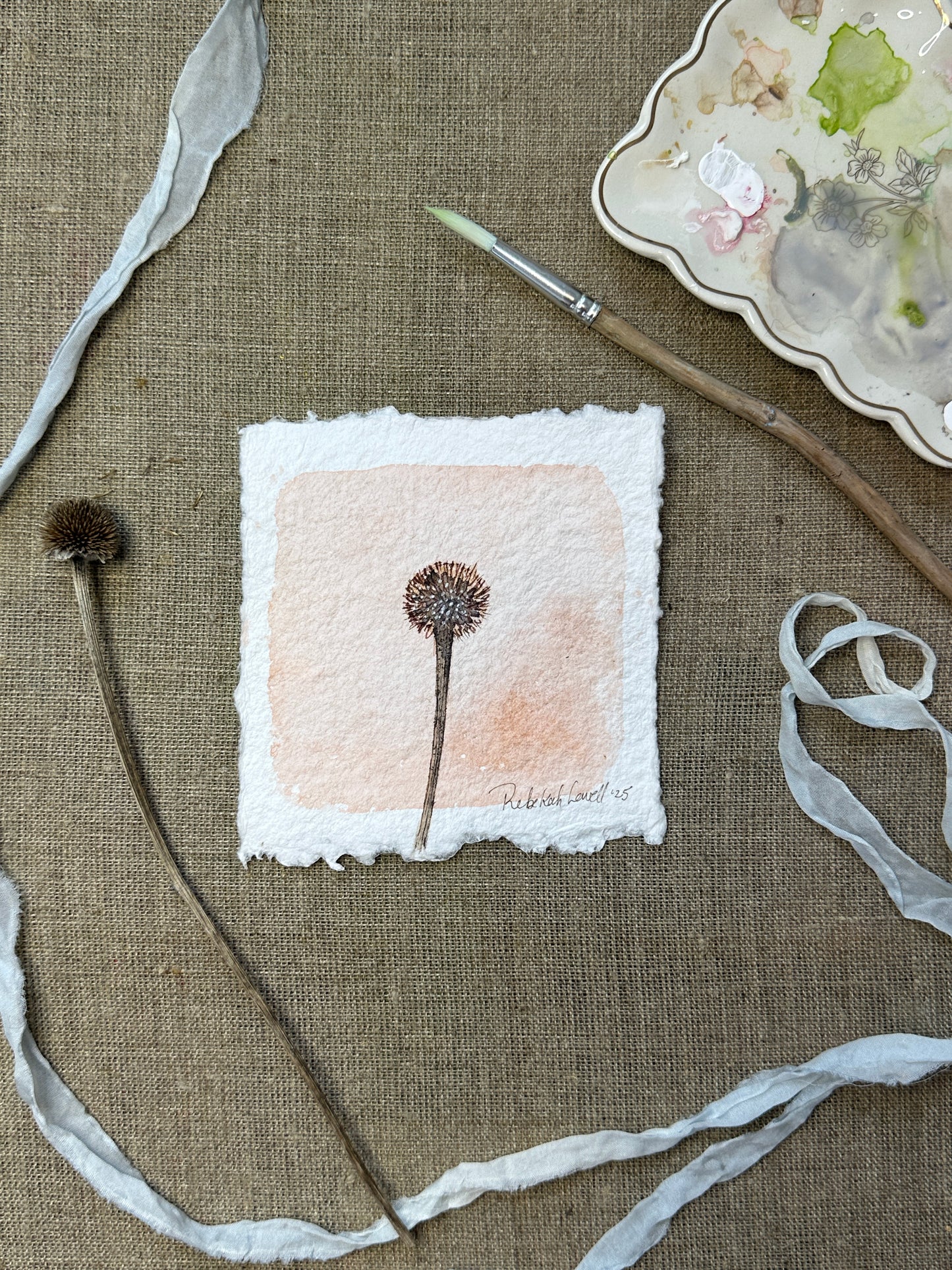 Echinacea Botanical Mini Original Painting