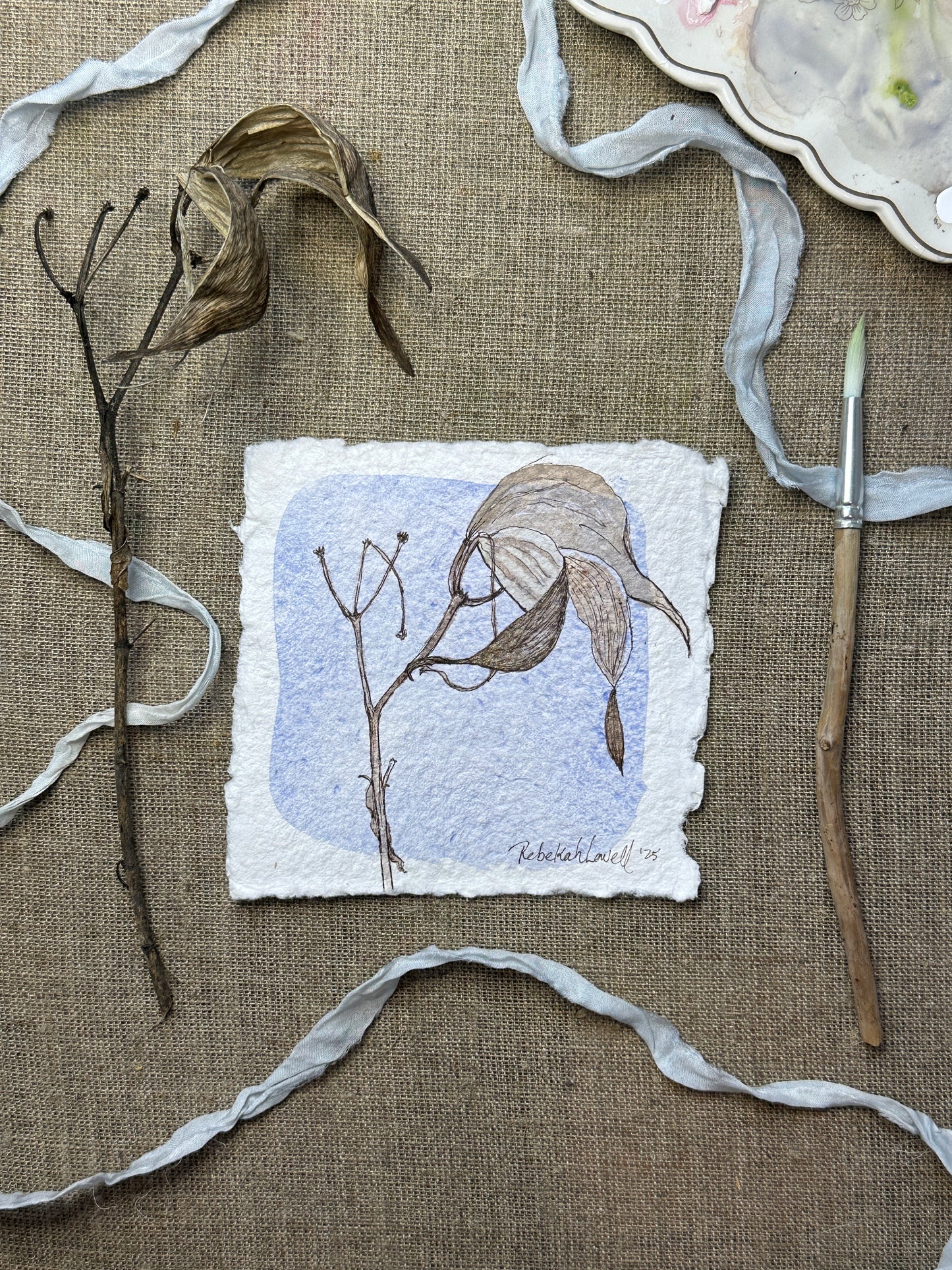 Swamp Milkweed Botanical Mini Original Painting