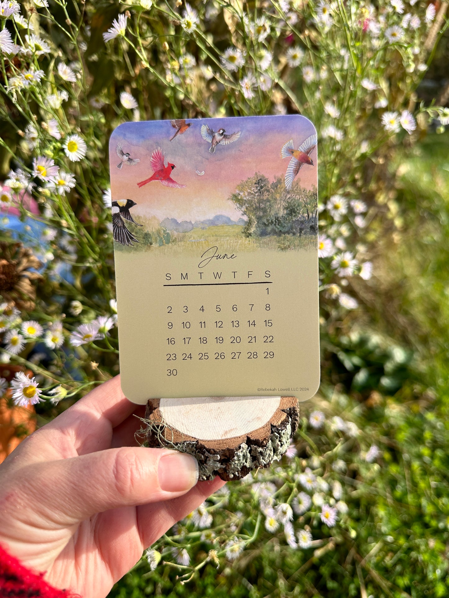 2024 Catching Flight Desk Calendar with Natural Wood Stand