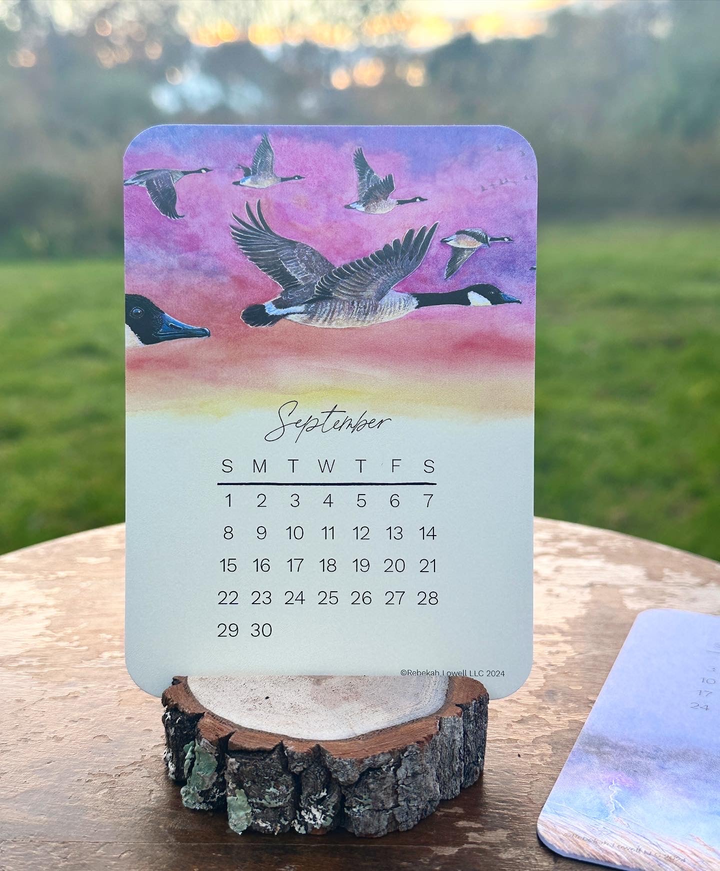 2024 Catching Flight Desk Calendar with Natural Wood Stand