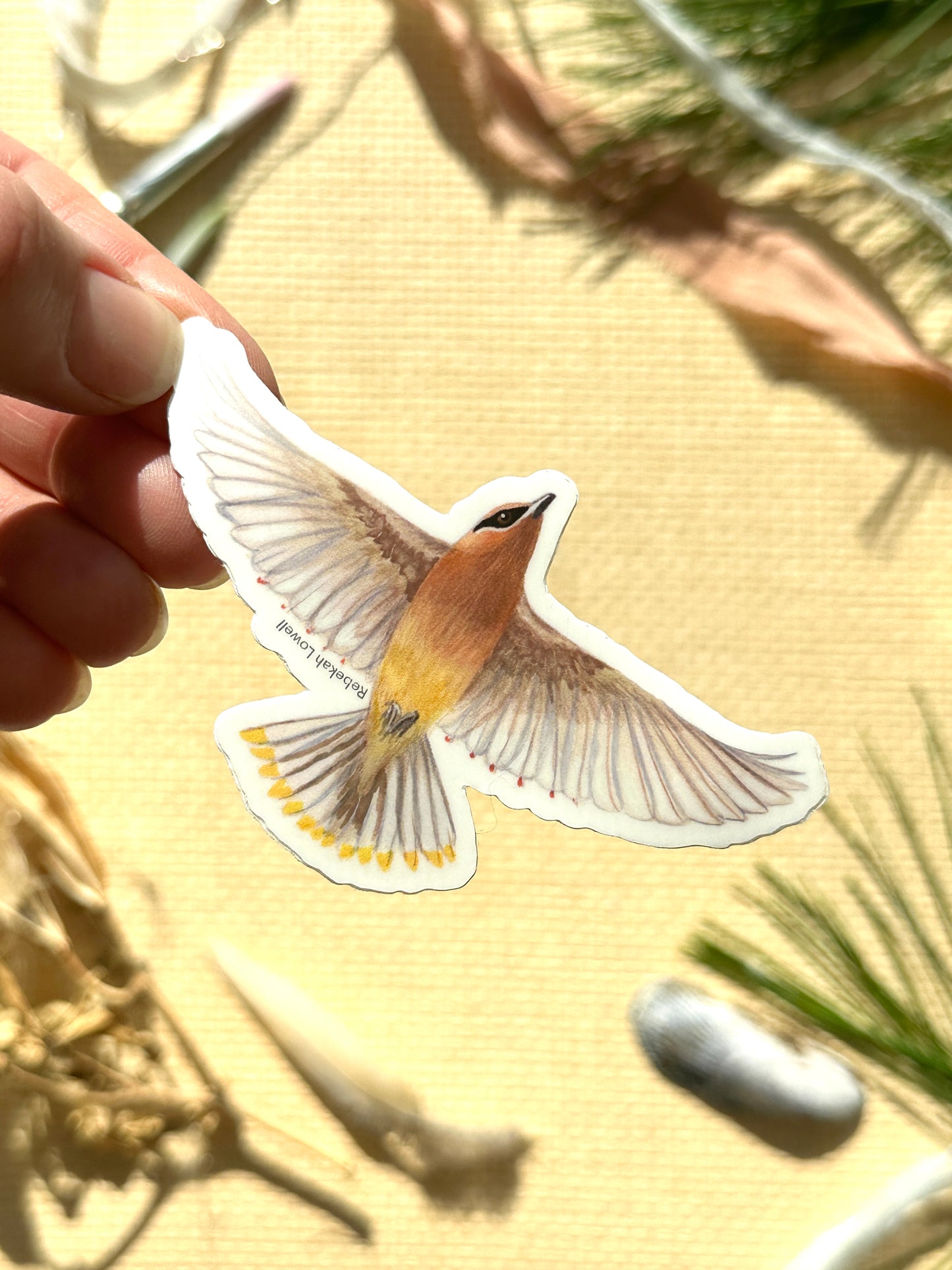 Cedar Waxwing in Flight Vinyl Decal Bumper Sticker