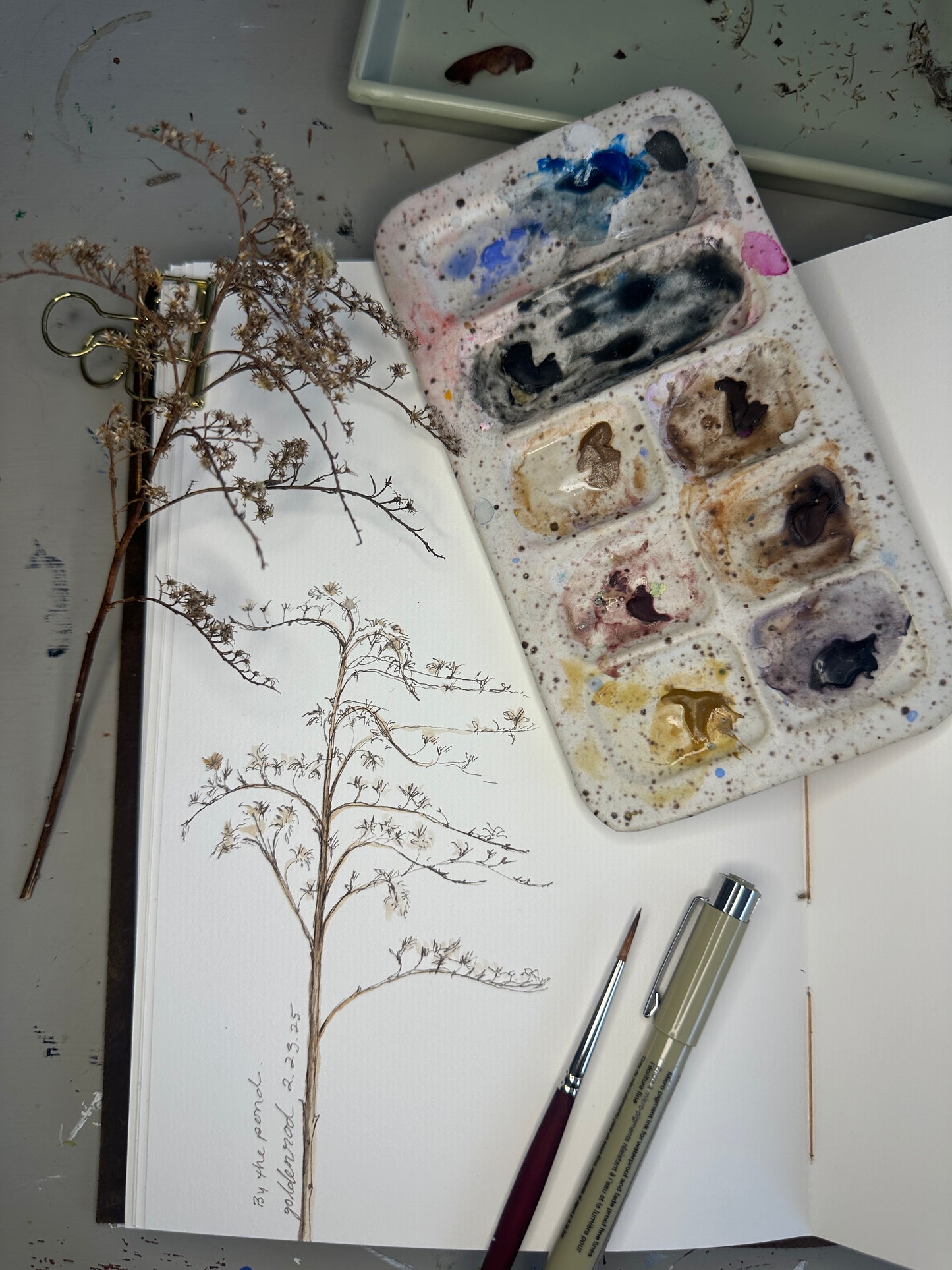 Seed Sketching Live Online Workshop