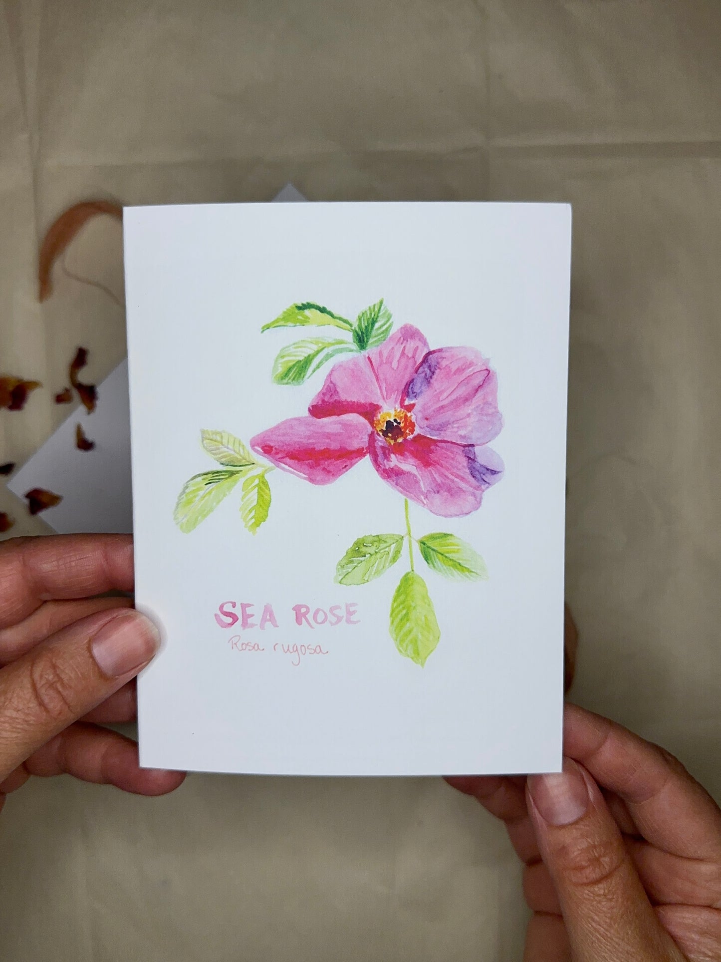 Sea Rose Blank Notecard