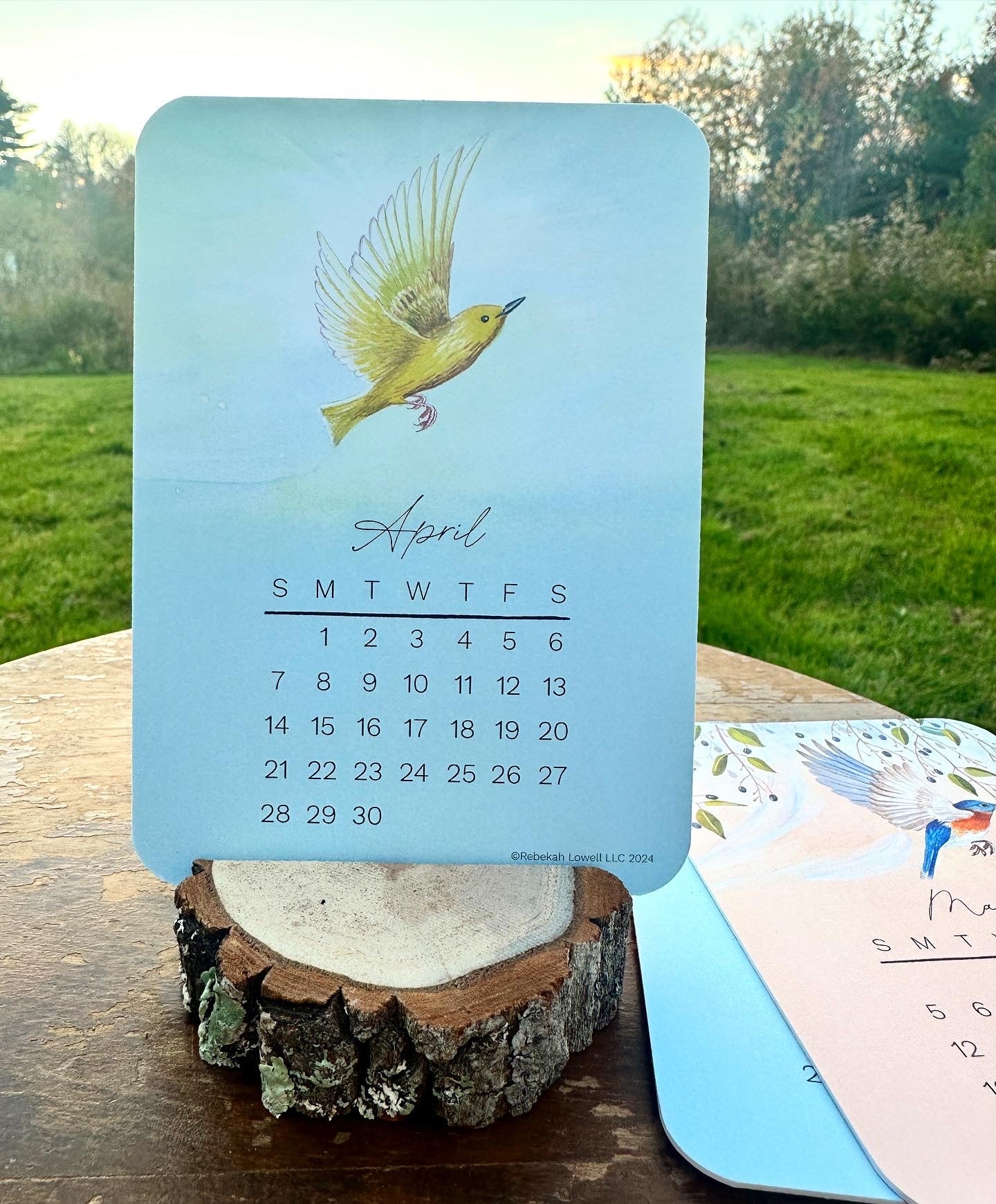 2024 Catching Flight Desk Calendar with Natural Wood Stand