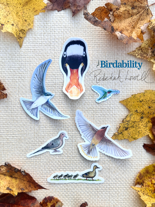 Bird Sticker Pack for Birdability Week