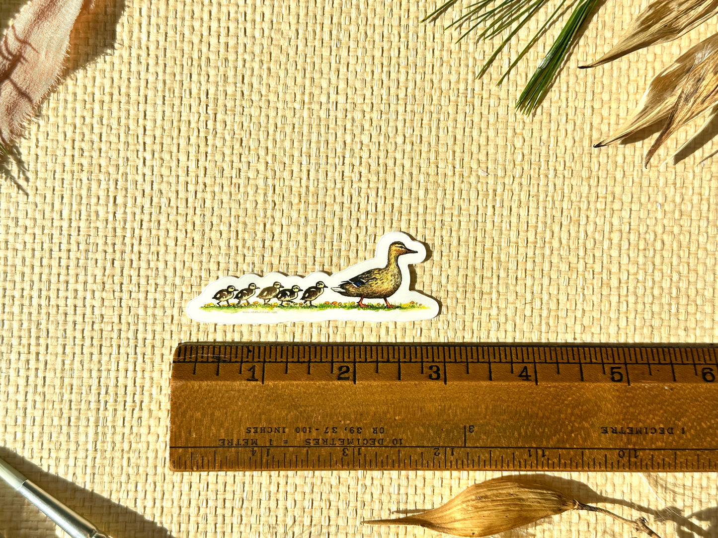 Ducks in a Row Sticker