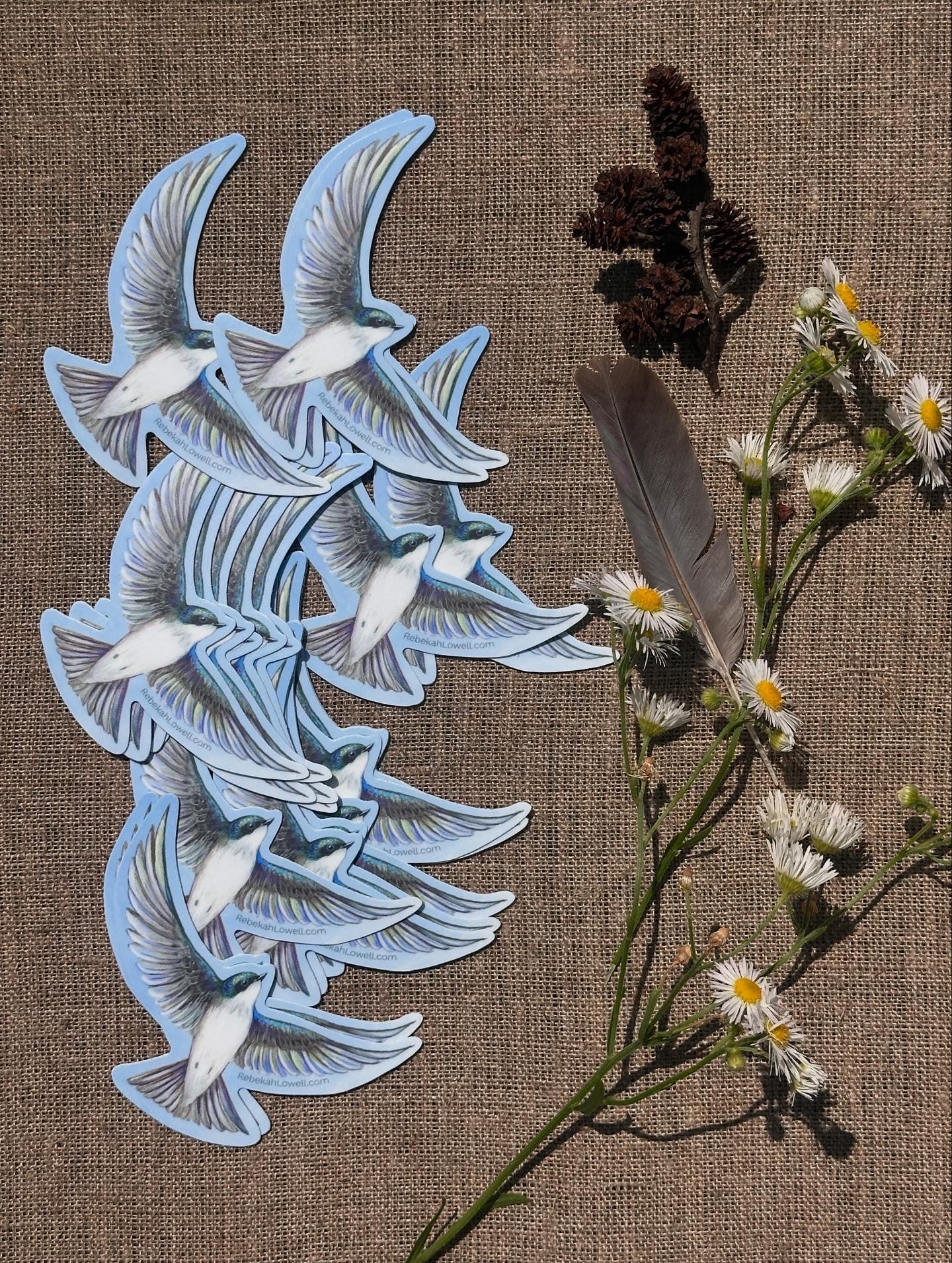 Tree Swallow Vinyl Decal Bumper Sticker