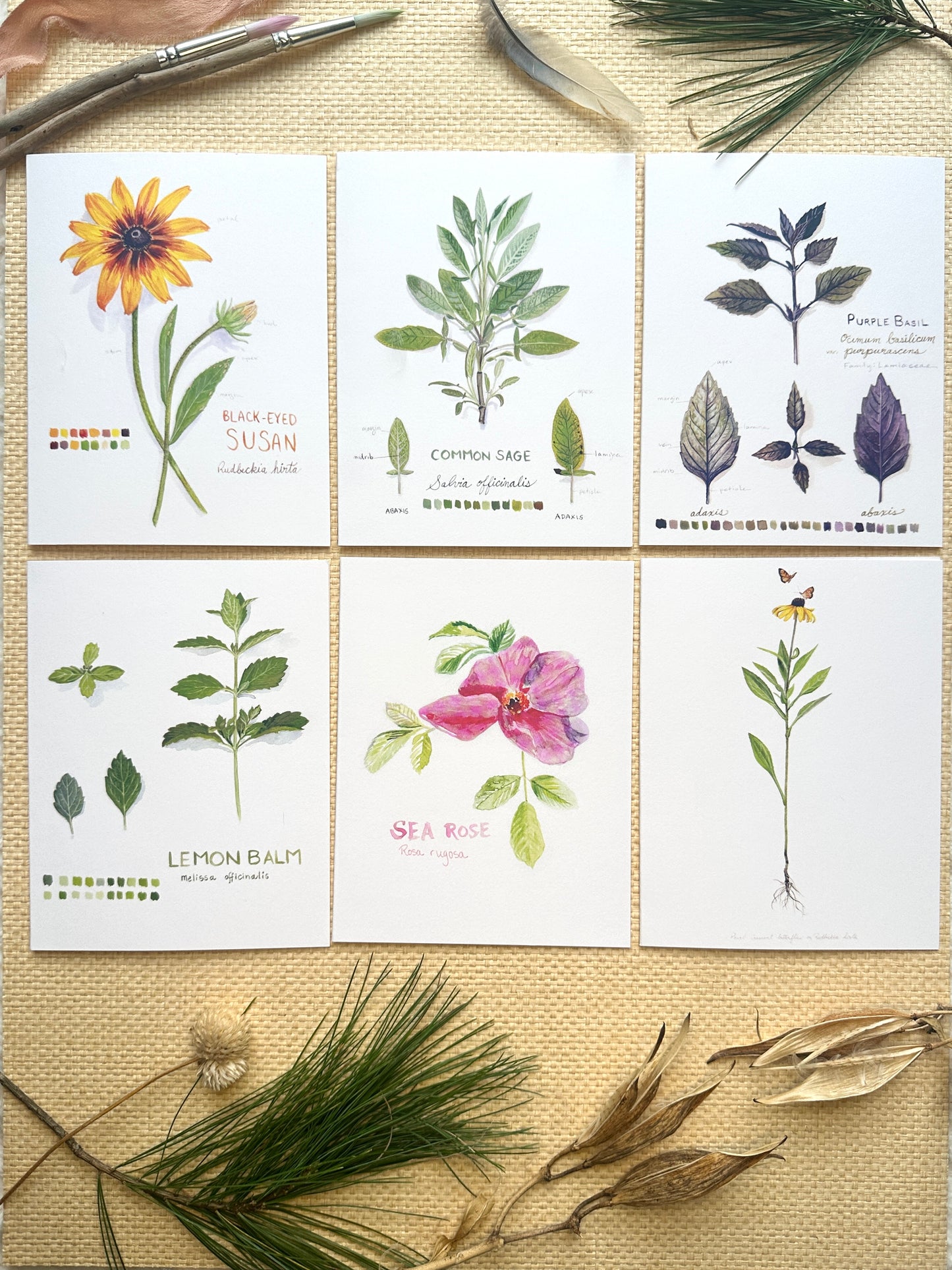 Boxed Set of Six Blank Notecards, Botanical Collection