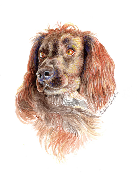 Custom Pet Portrait, Made to Order (Color)