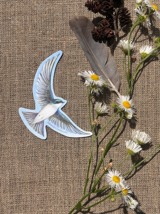 Tree Swallow Vinyl Decal Bumper Sticker