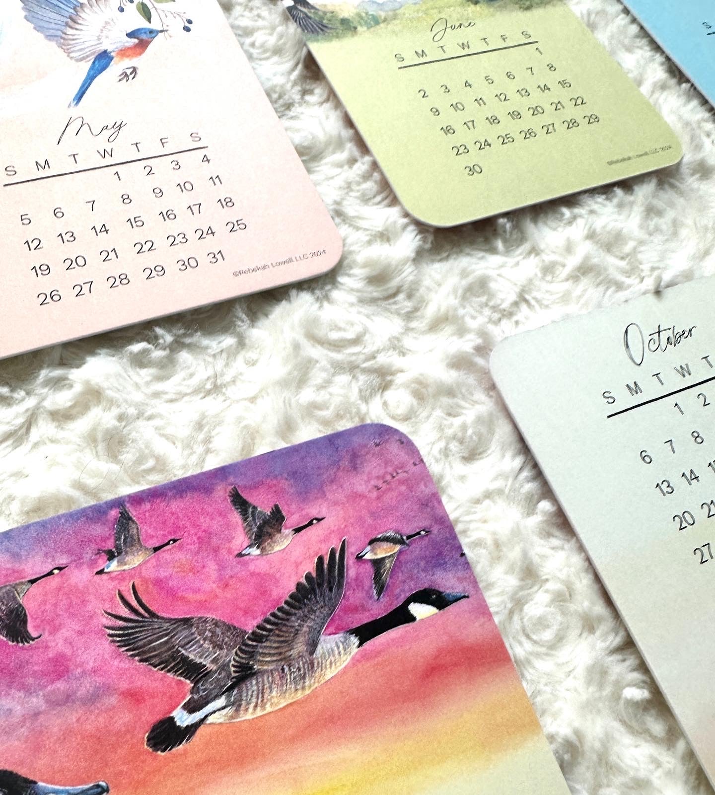 2024 Catching Flight Desk Calendar with Natural Wood Stand