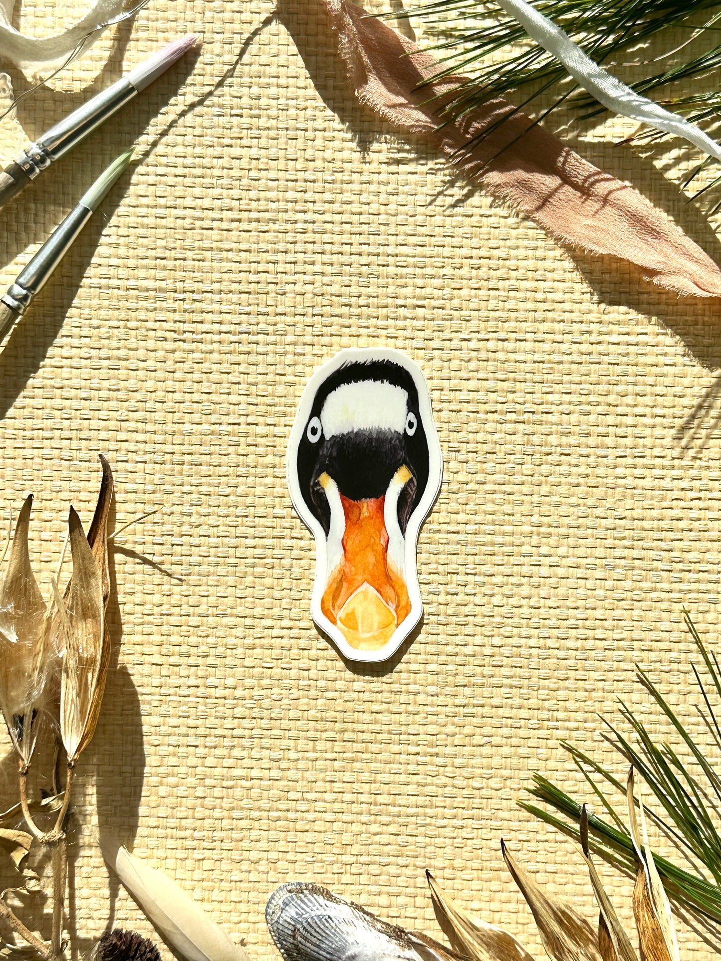 Surf Scoter Vinyl Decal Bumper Sticker