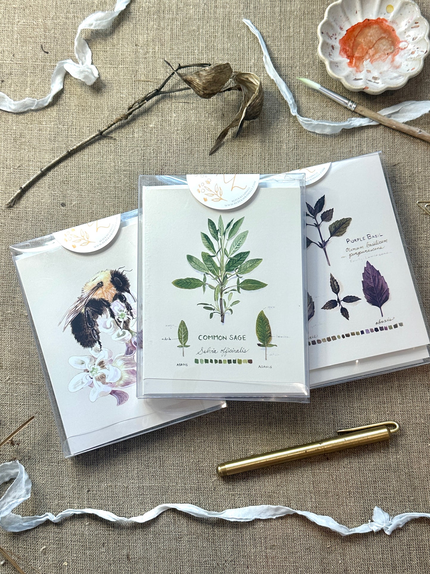 Boxed Set of Six Blank Notecards, Naturalist Collection