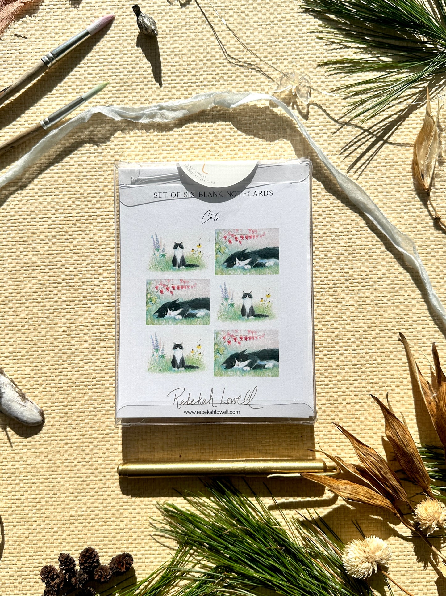 Boxed Set of Six Blank Notecards, Cats Collection
