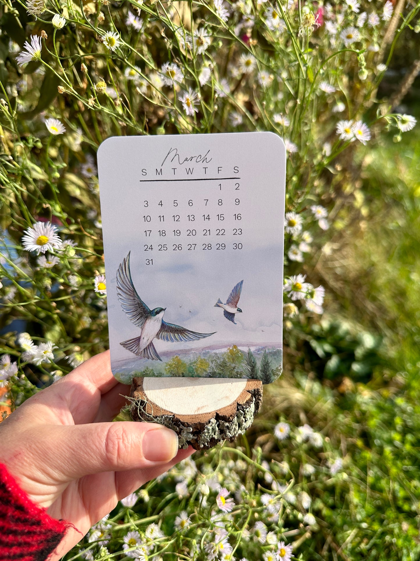 2024 Catching Flight Desk Calendar with Natural Wood Stand