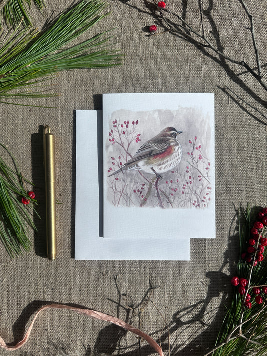 Redwing  Blank Notecard