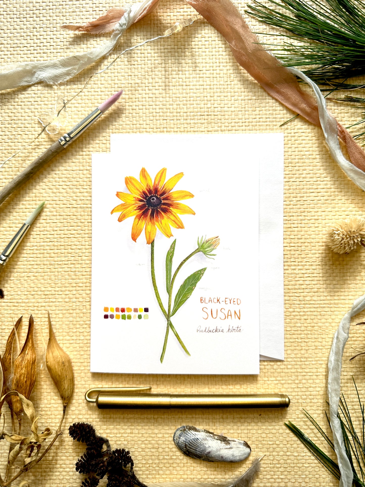 Rudbeckia Botanical Blank Notecard