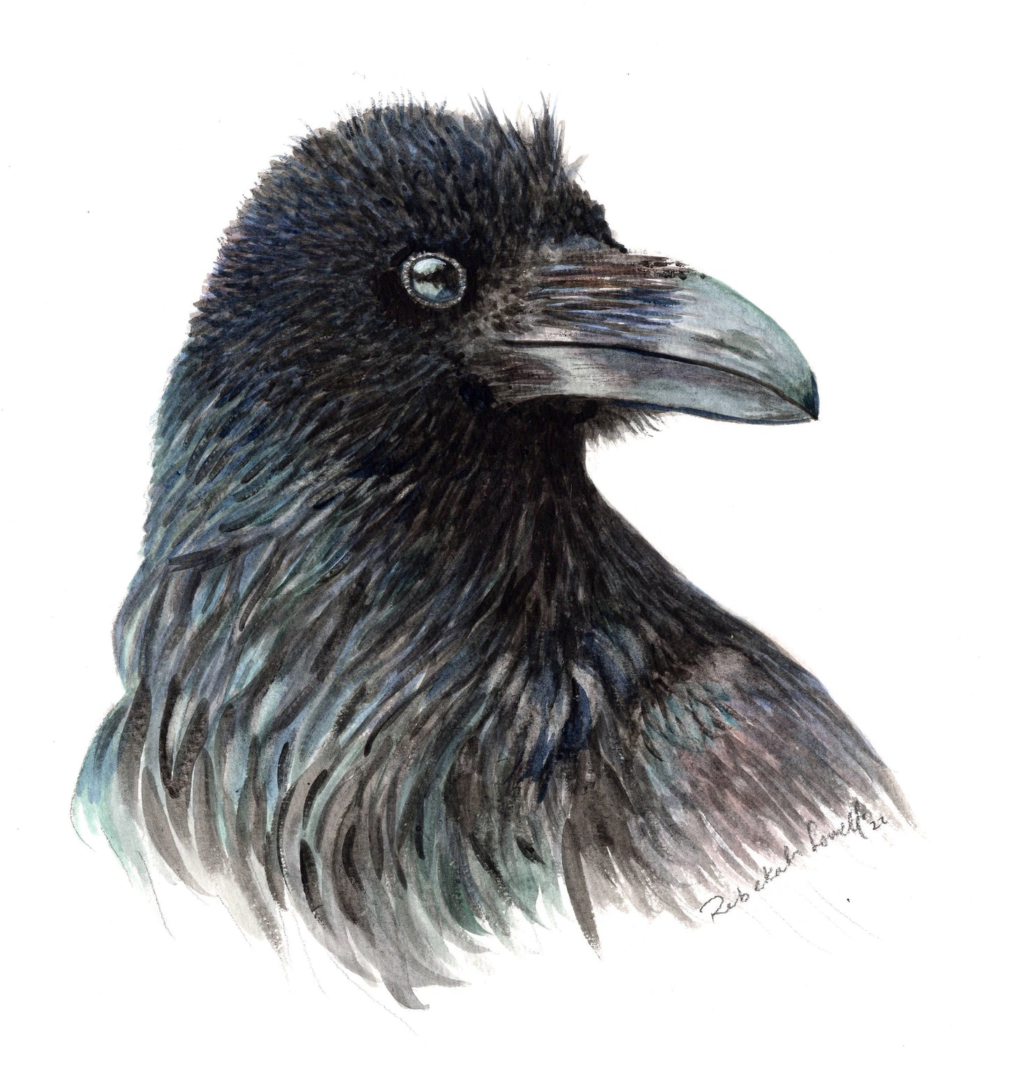 Raven Decal Bumper Sticker