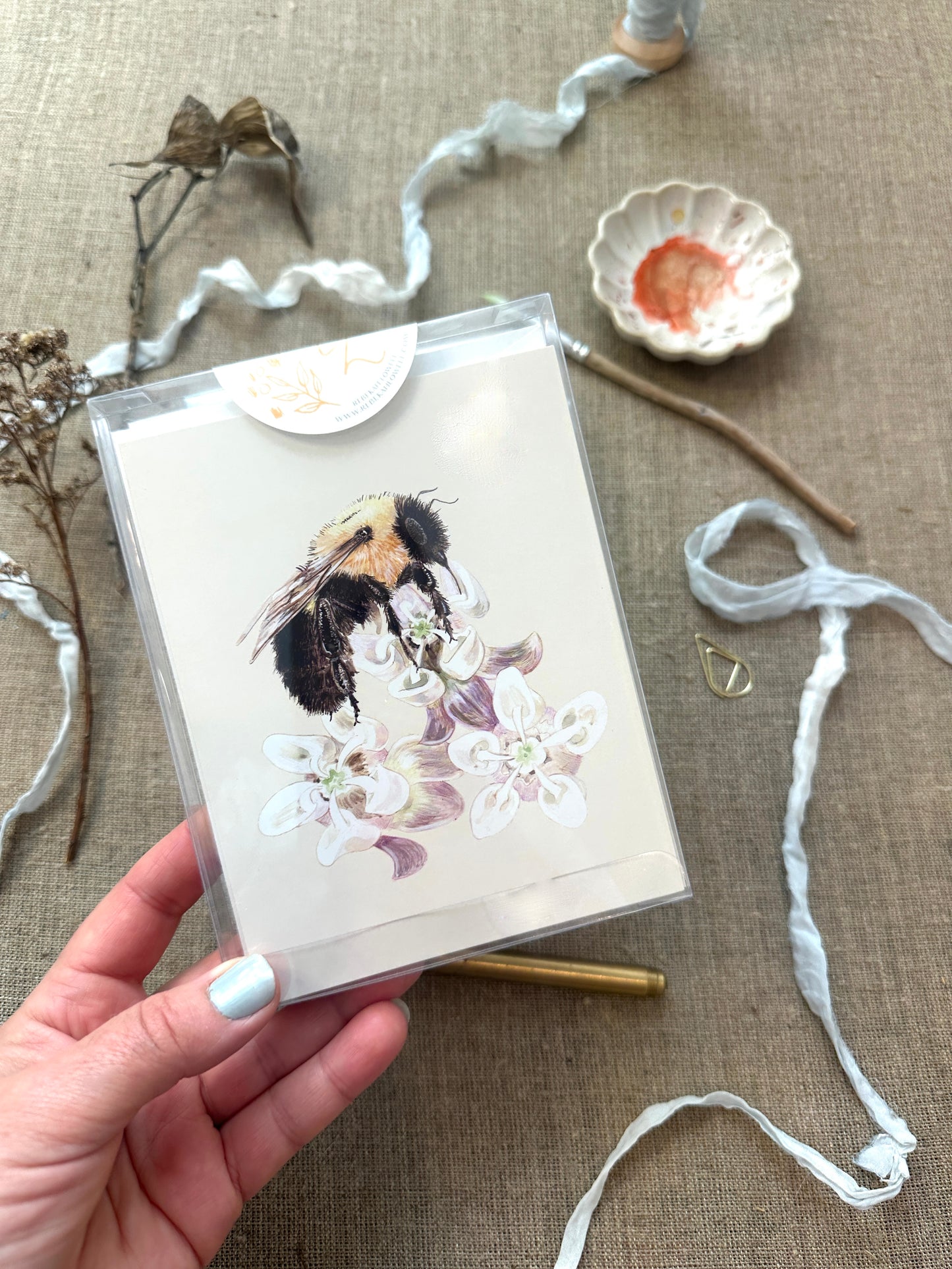 Boxed Set of Six Blank Notecards, Naturalist Collection