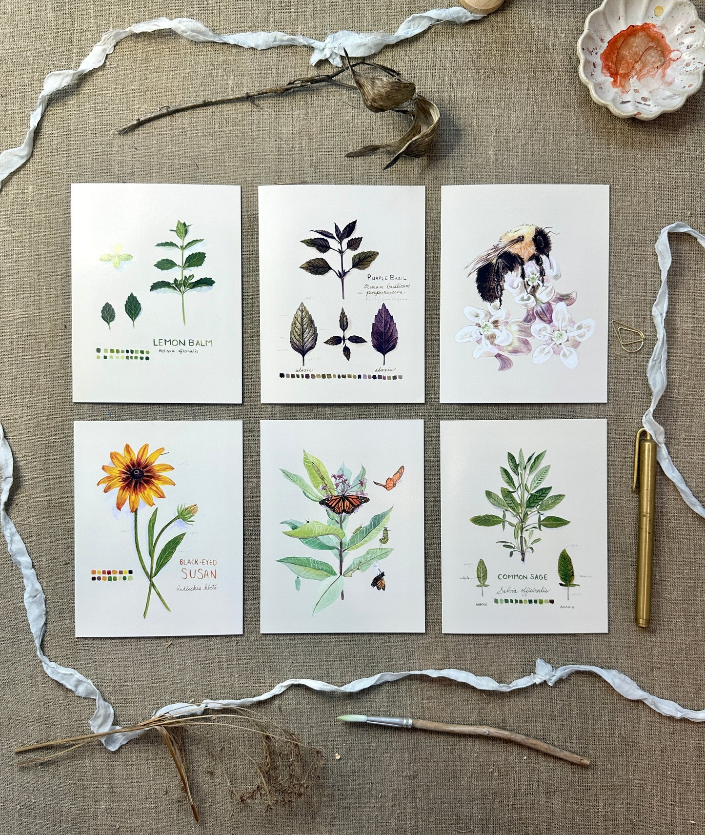 Boxed Set of Six Blank Notecards, Naturalist Collection