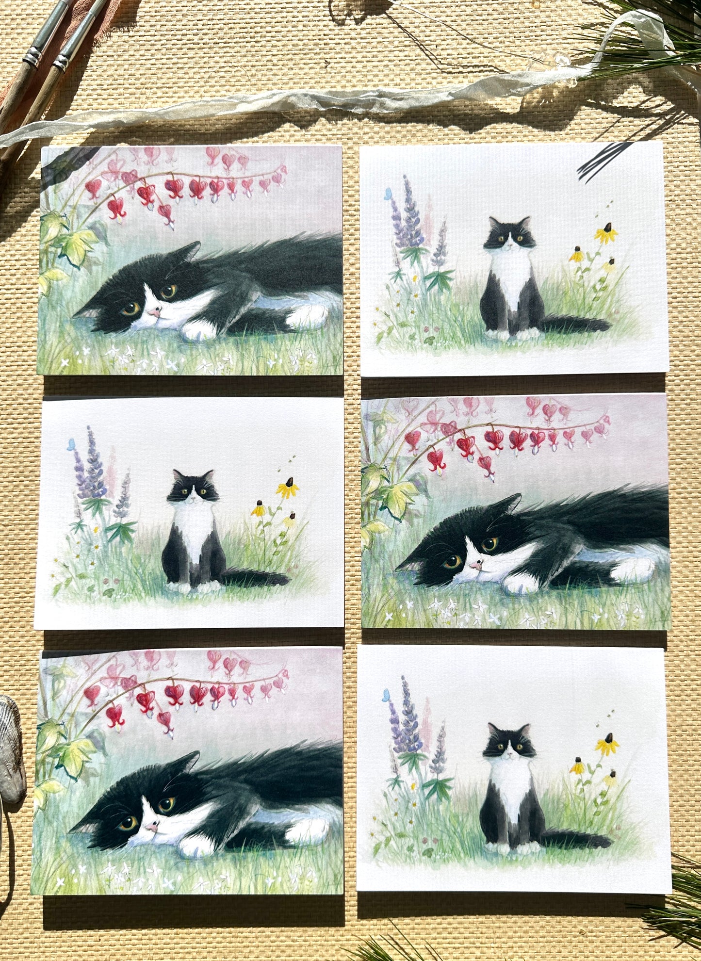 Boxed Set of Six Blank Notecards, Cats Collection