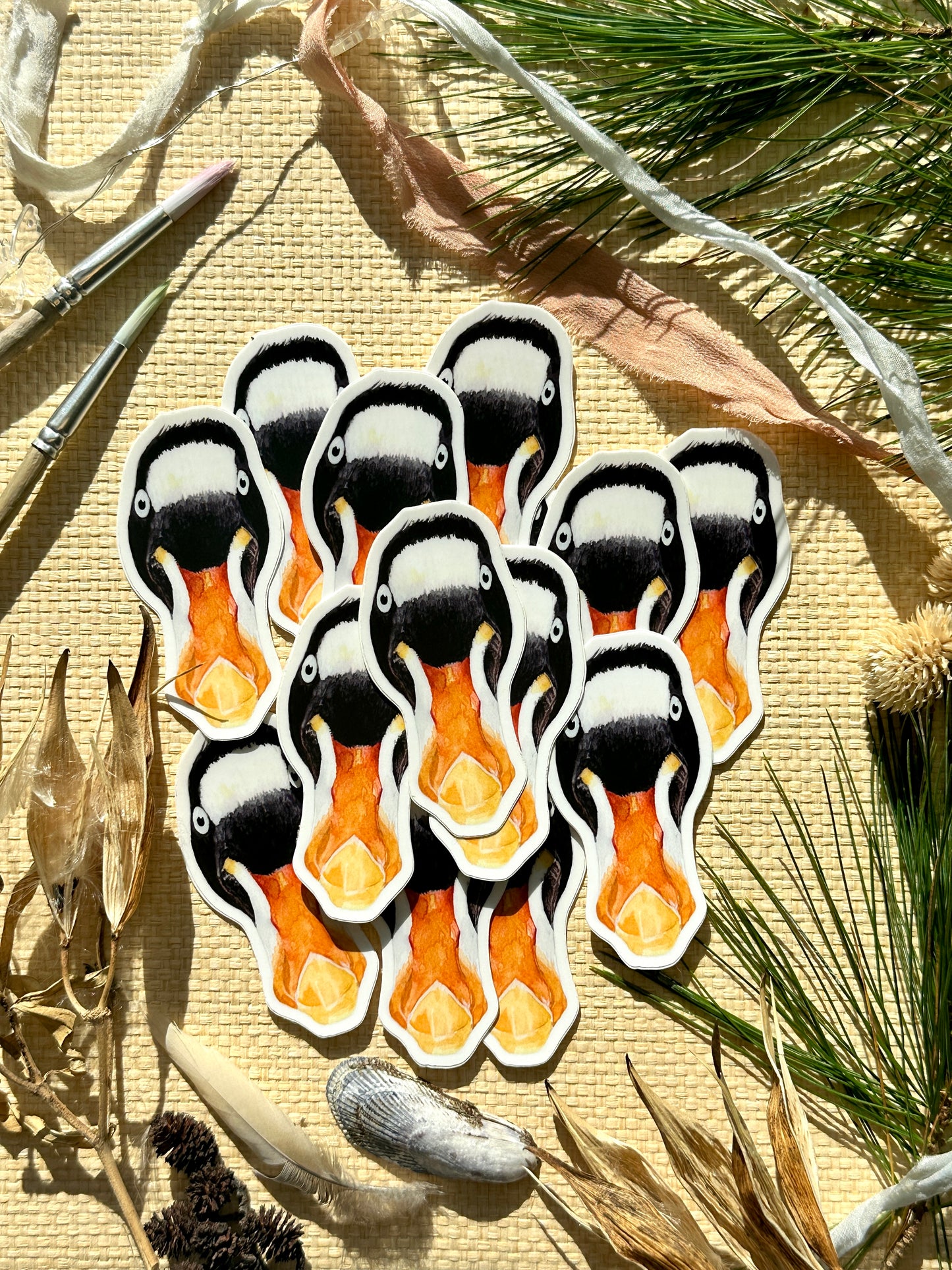 Surf Scoter Vinyl Decal Bumper Sticker